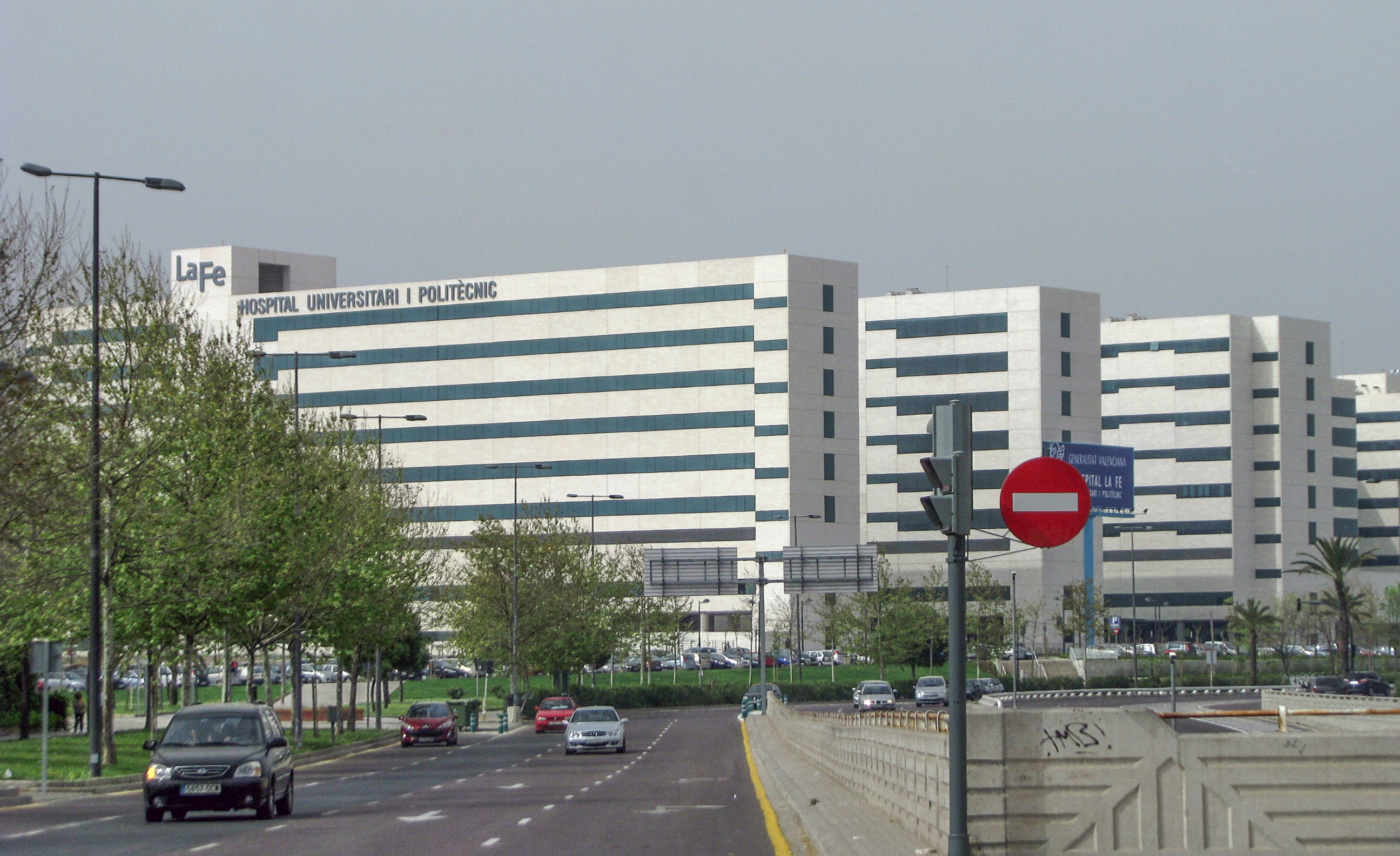 Hospital Universitario Y Politécnico La Fe