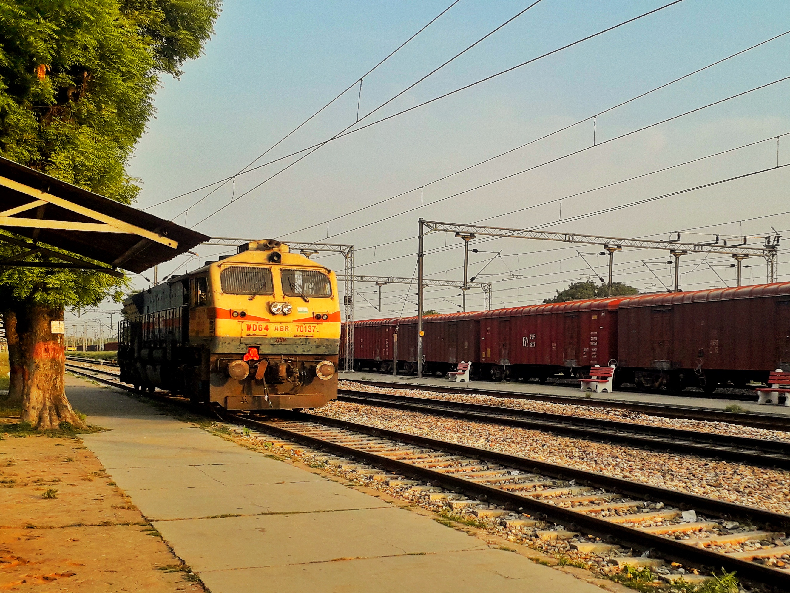 Bareilly