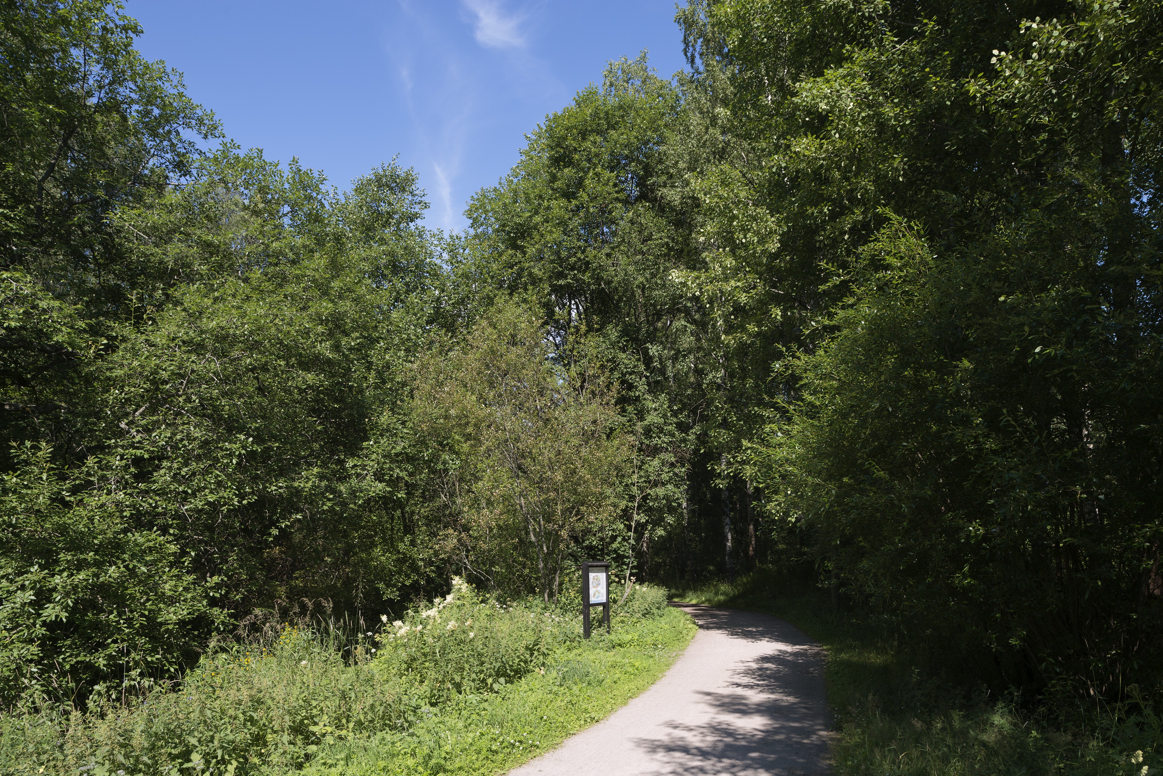 Maunulanpuisto
