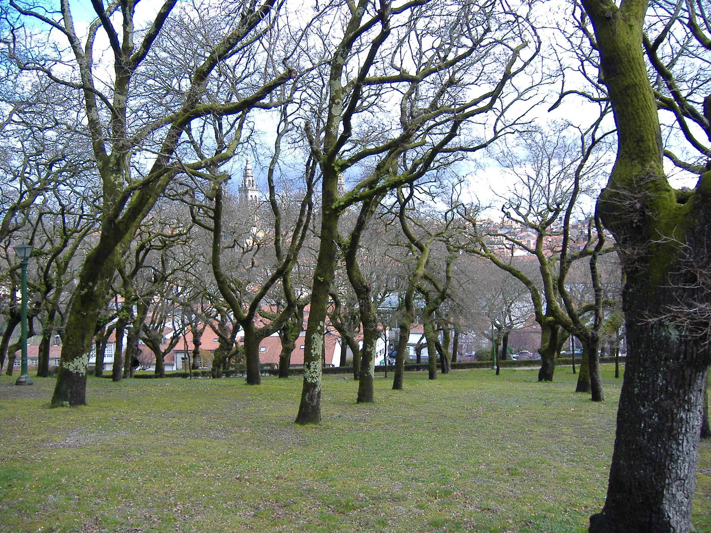 Robledo De Santa Susana