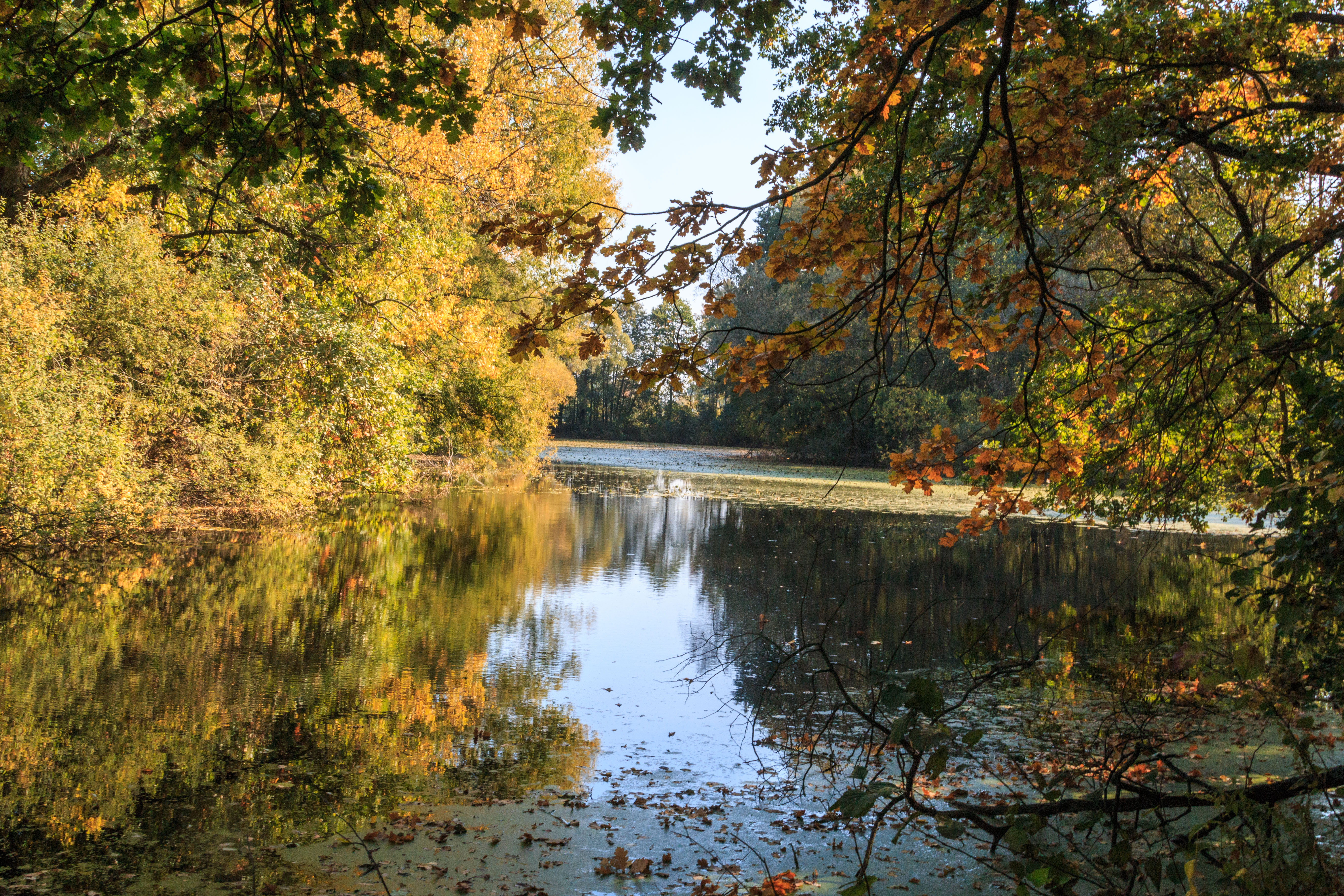 Binarovo-See