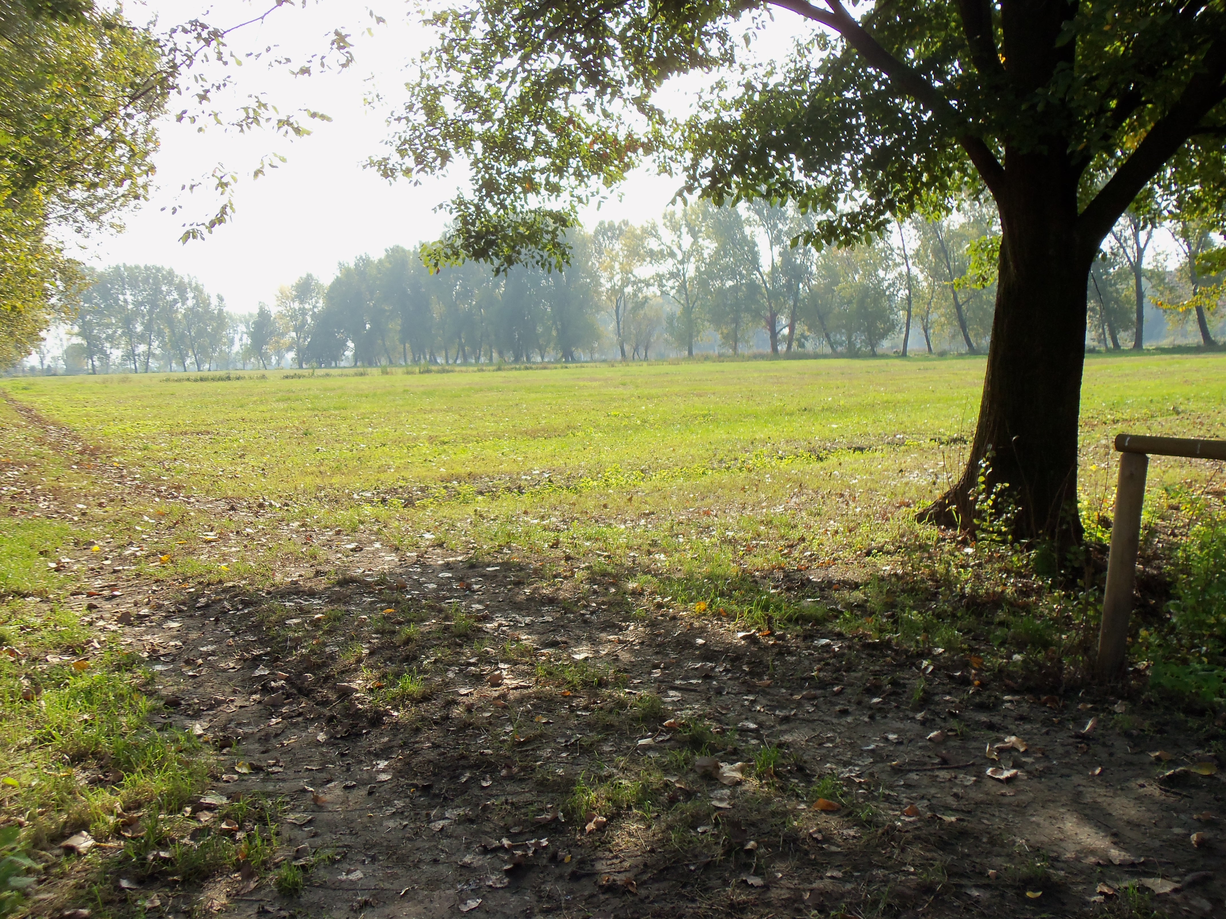Park Ticinello