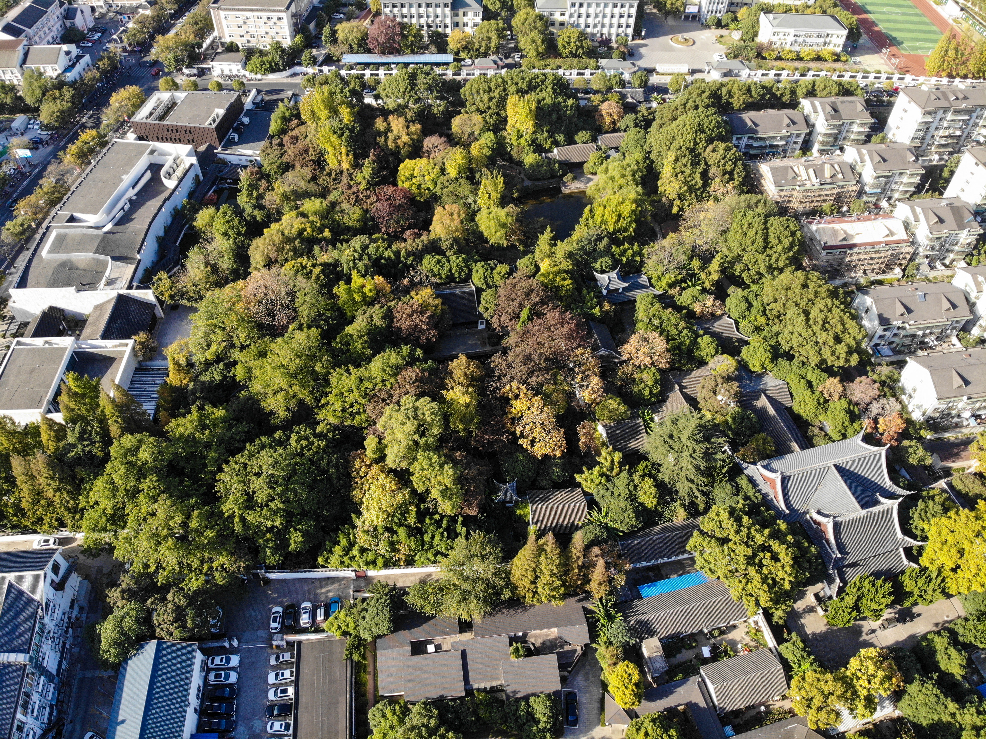 Jardin Qiuxia