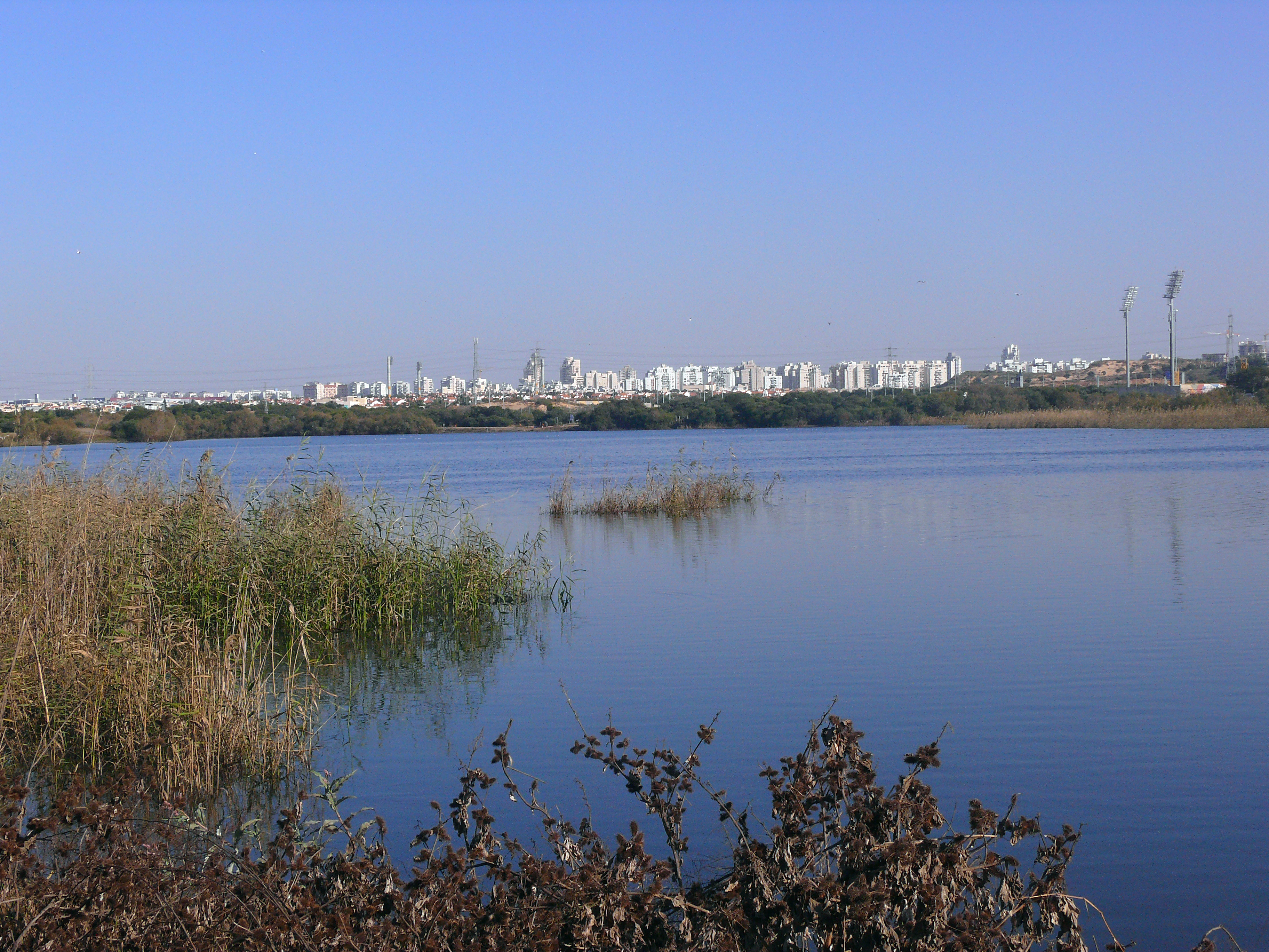 Rishon Lezion Lake