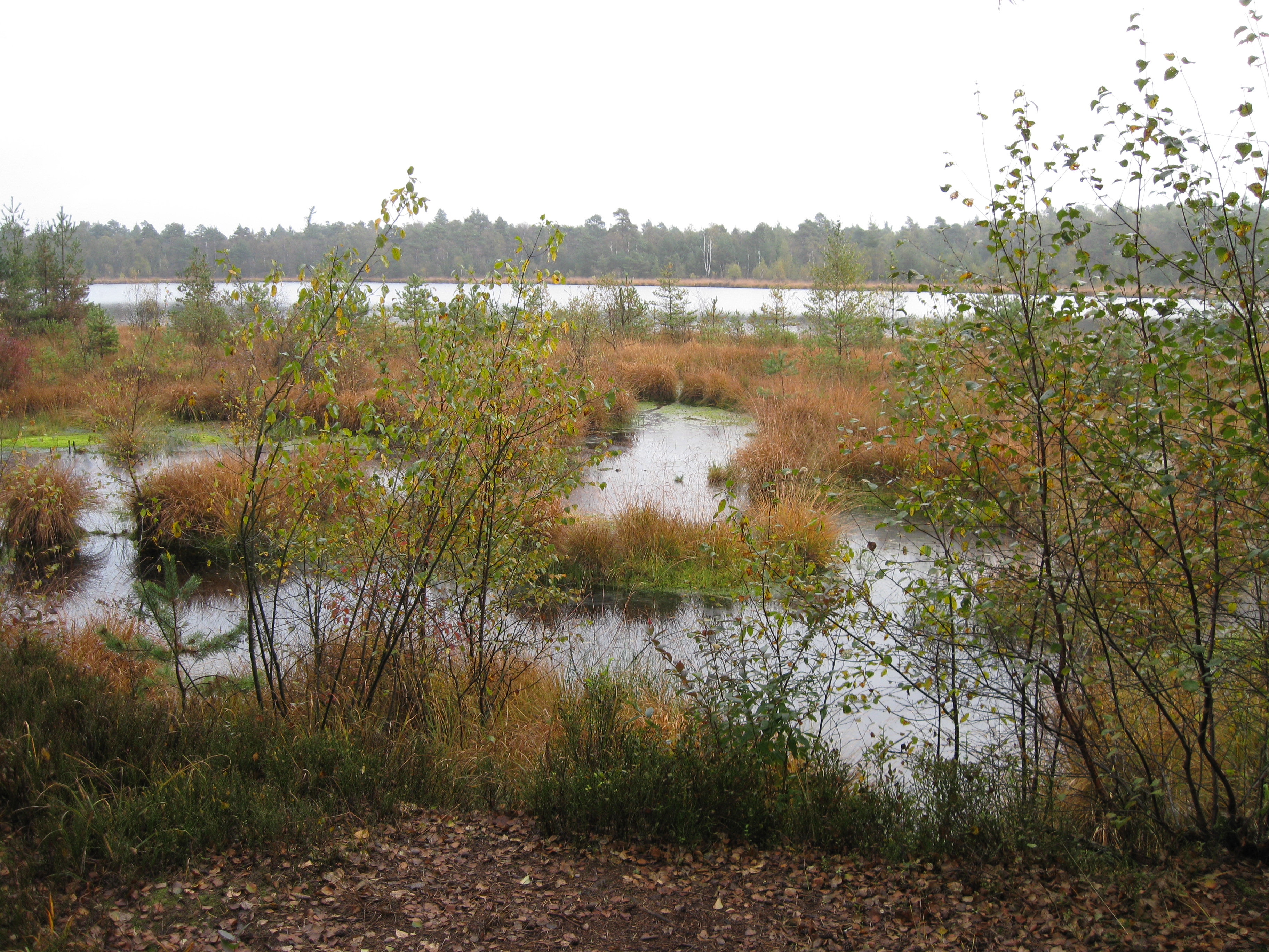 Grundloses Moor