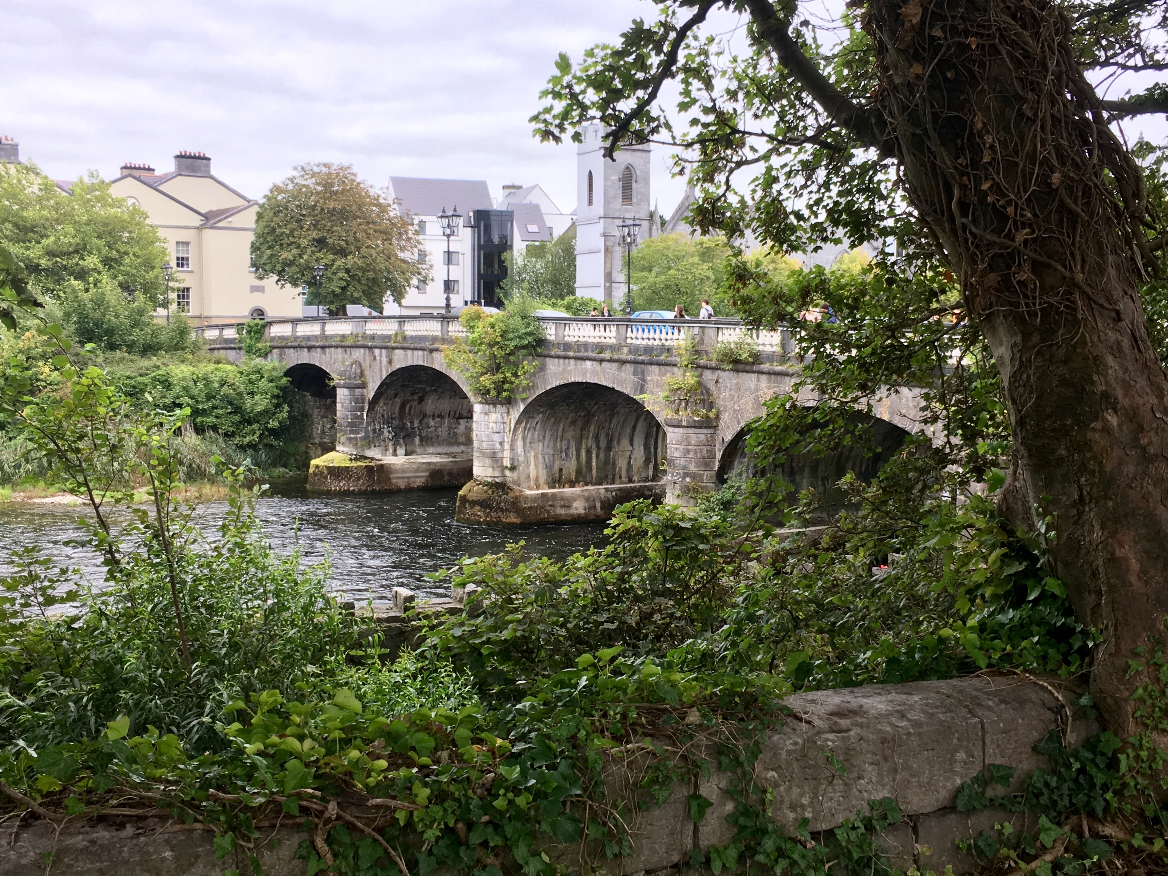 Pont Salmon Weir