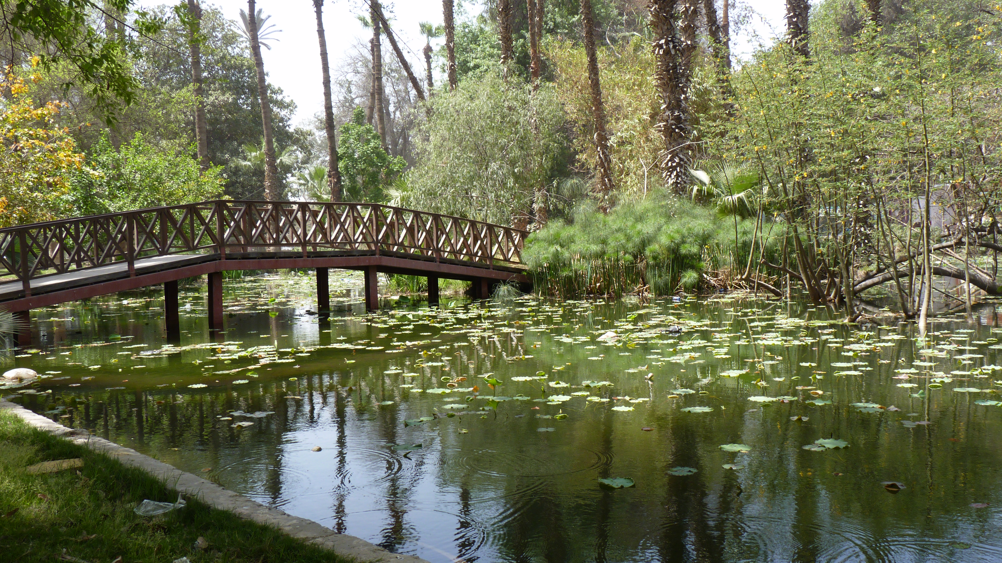 Jardim Orman