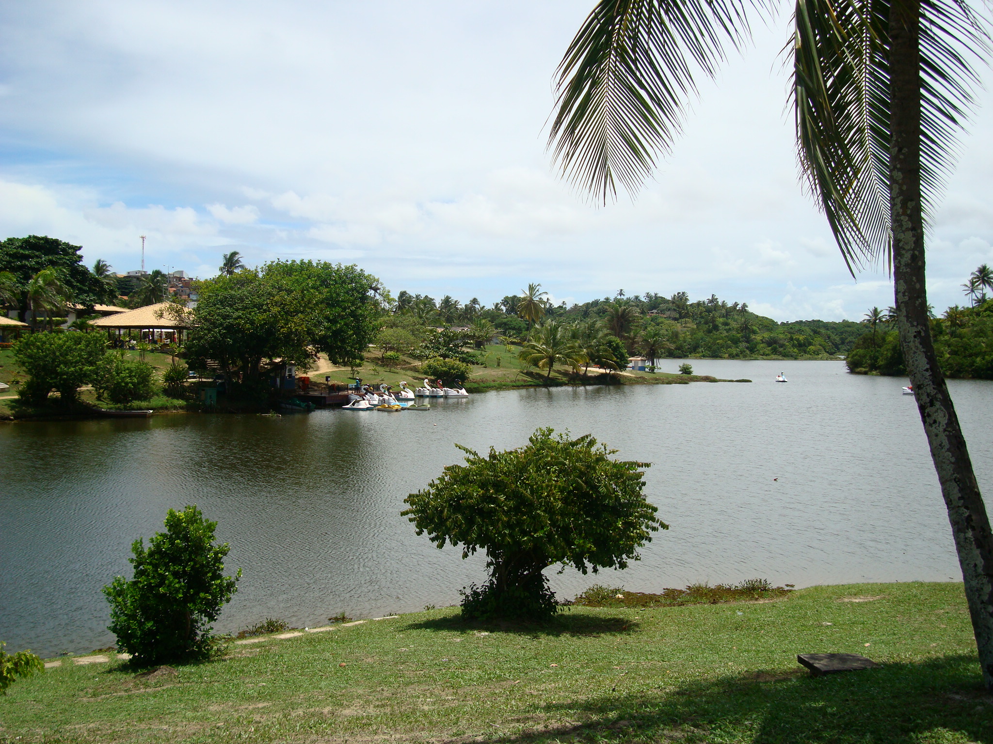 Parque Metropolitano De Pituaçu