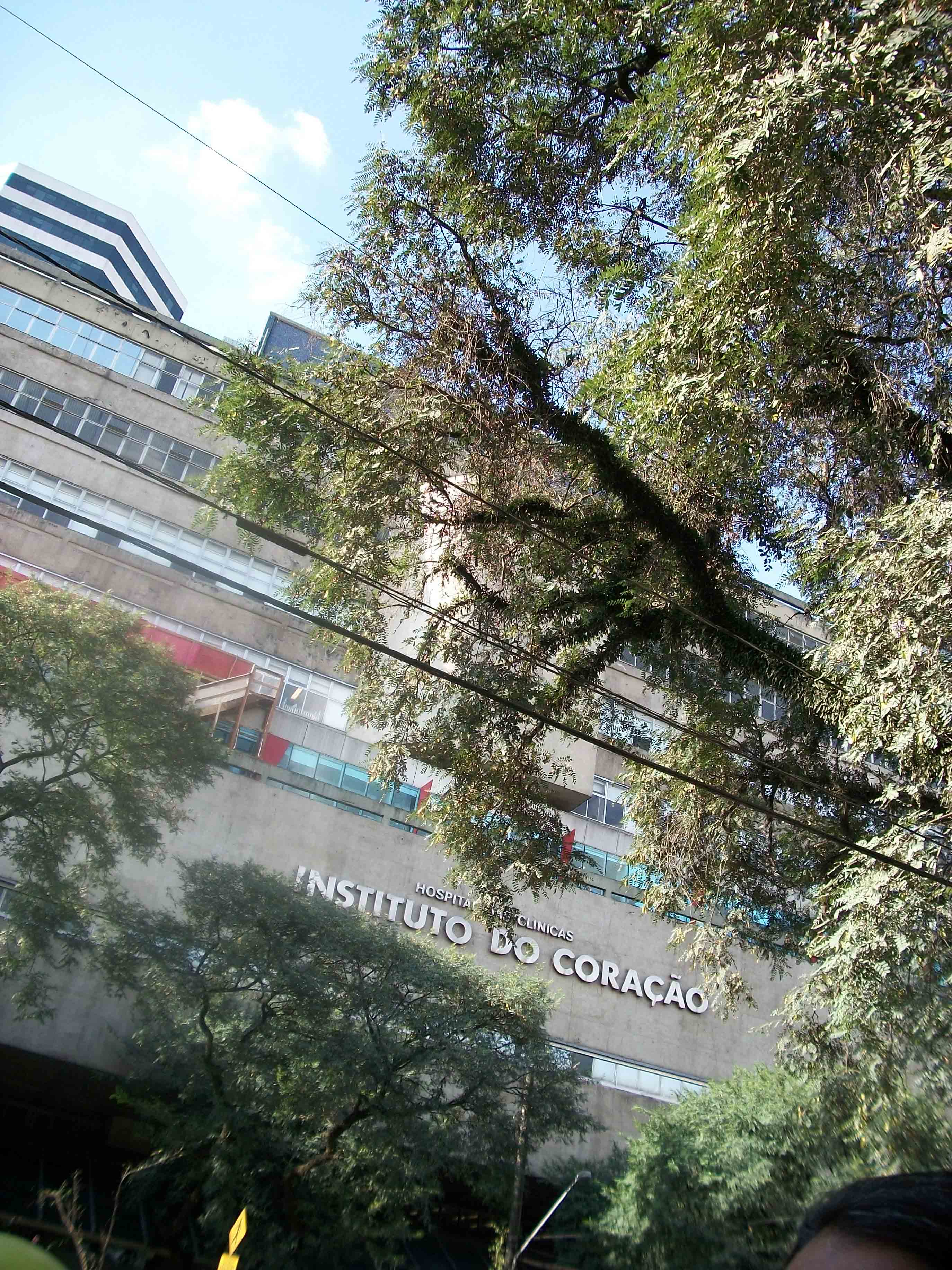 Instituto Del Corazón De La Universidad De São Paulo