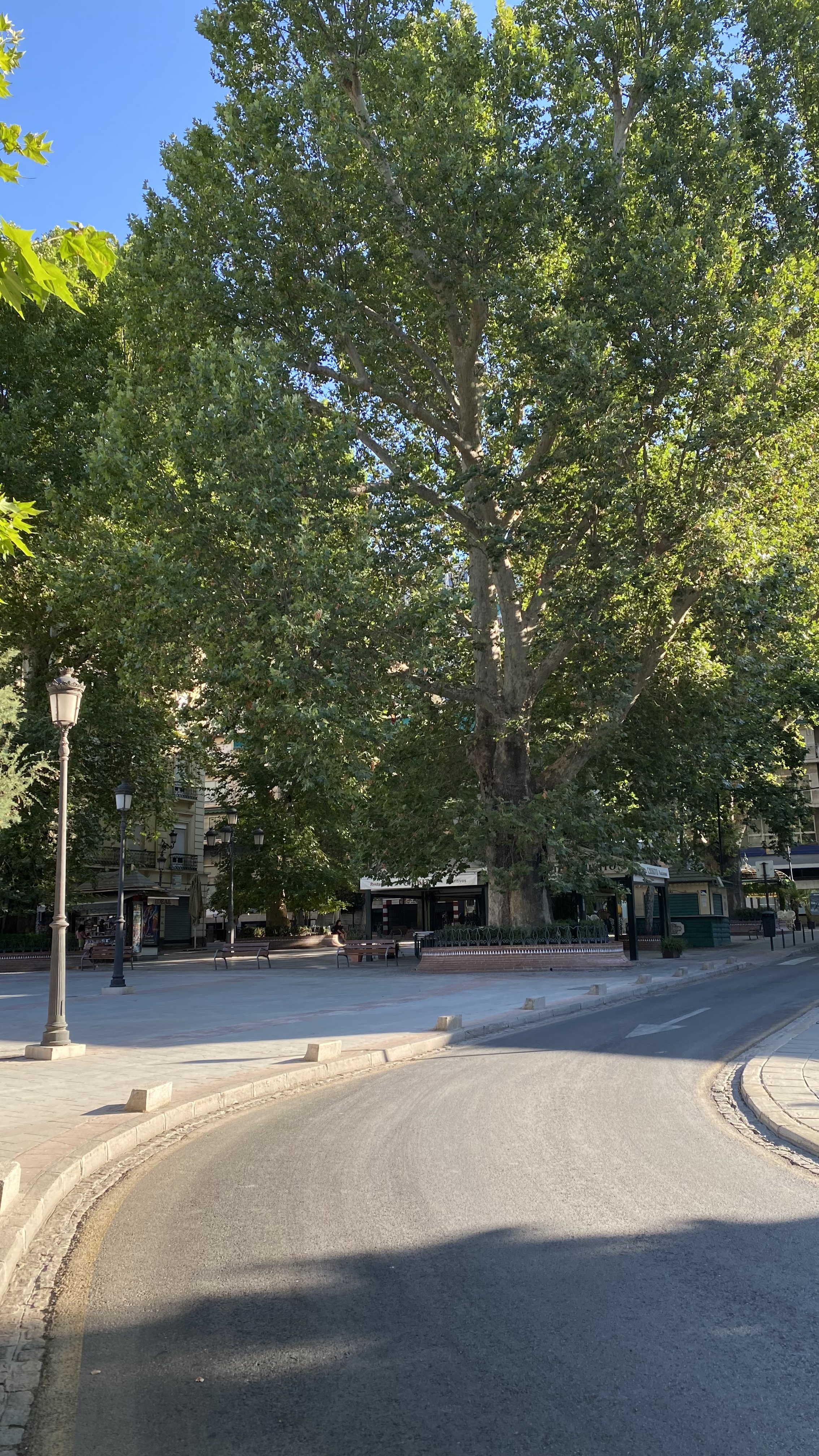 Plaza Del Campillo