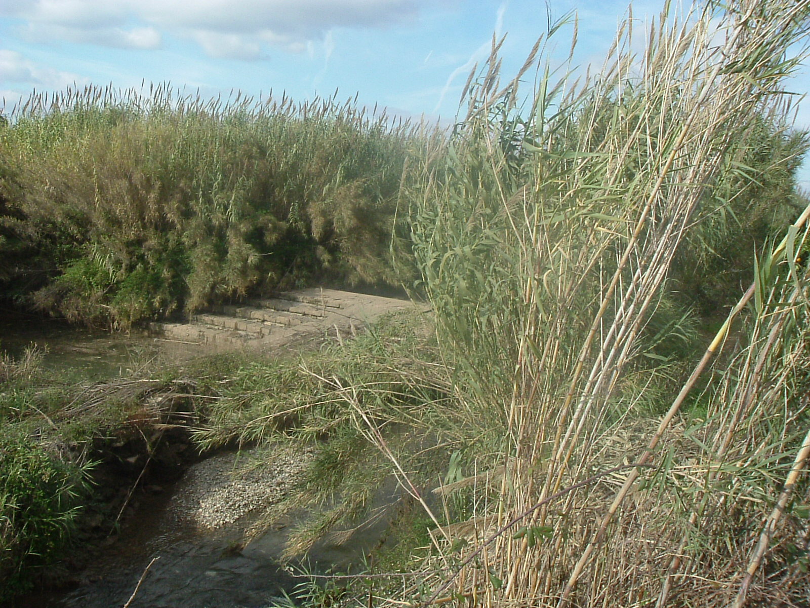 Acequia De Mestalla