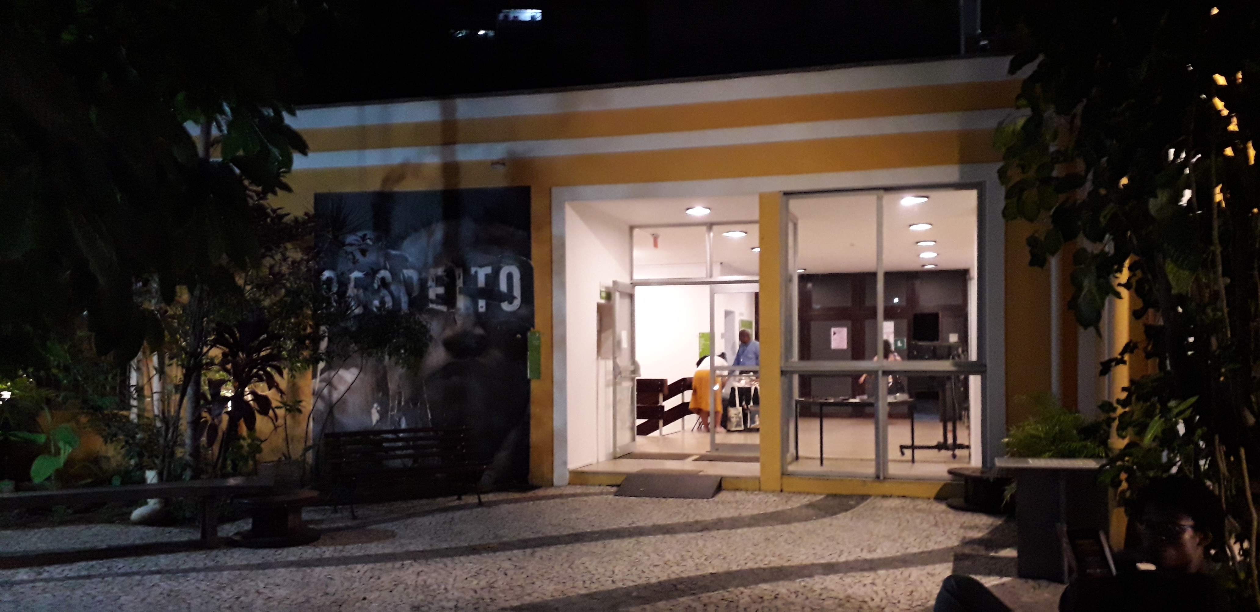 Teatro Del Instituto Cultural Brasil Alemania (Icba)