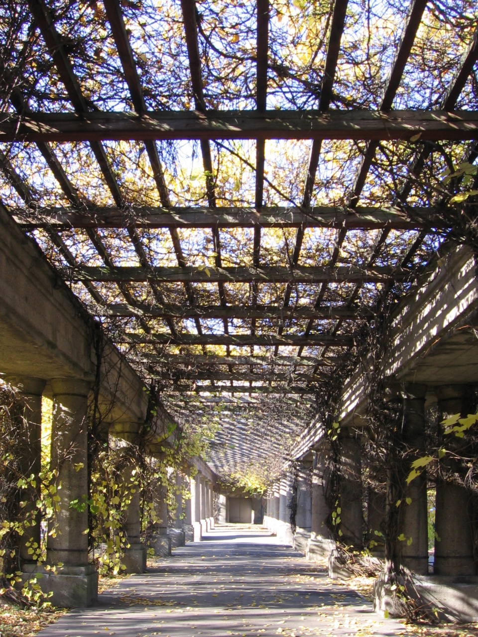 Pergola in Breslau