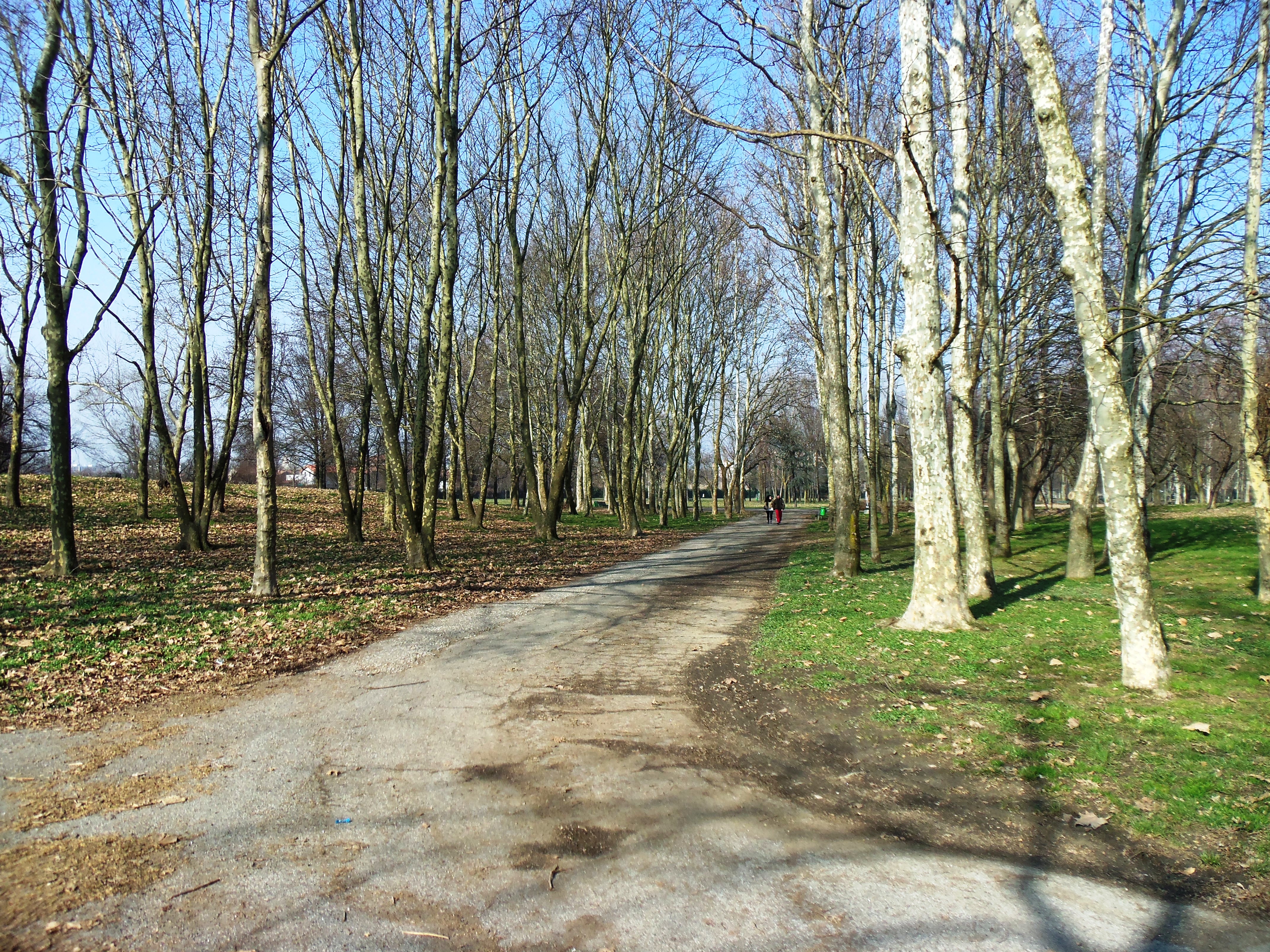 Park Andrea Campagna