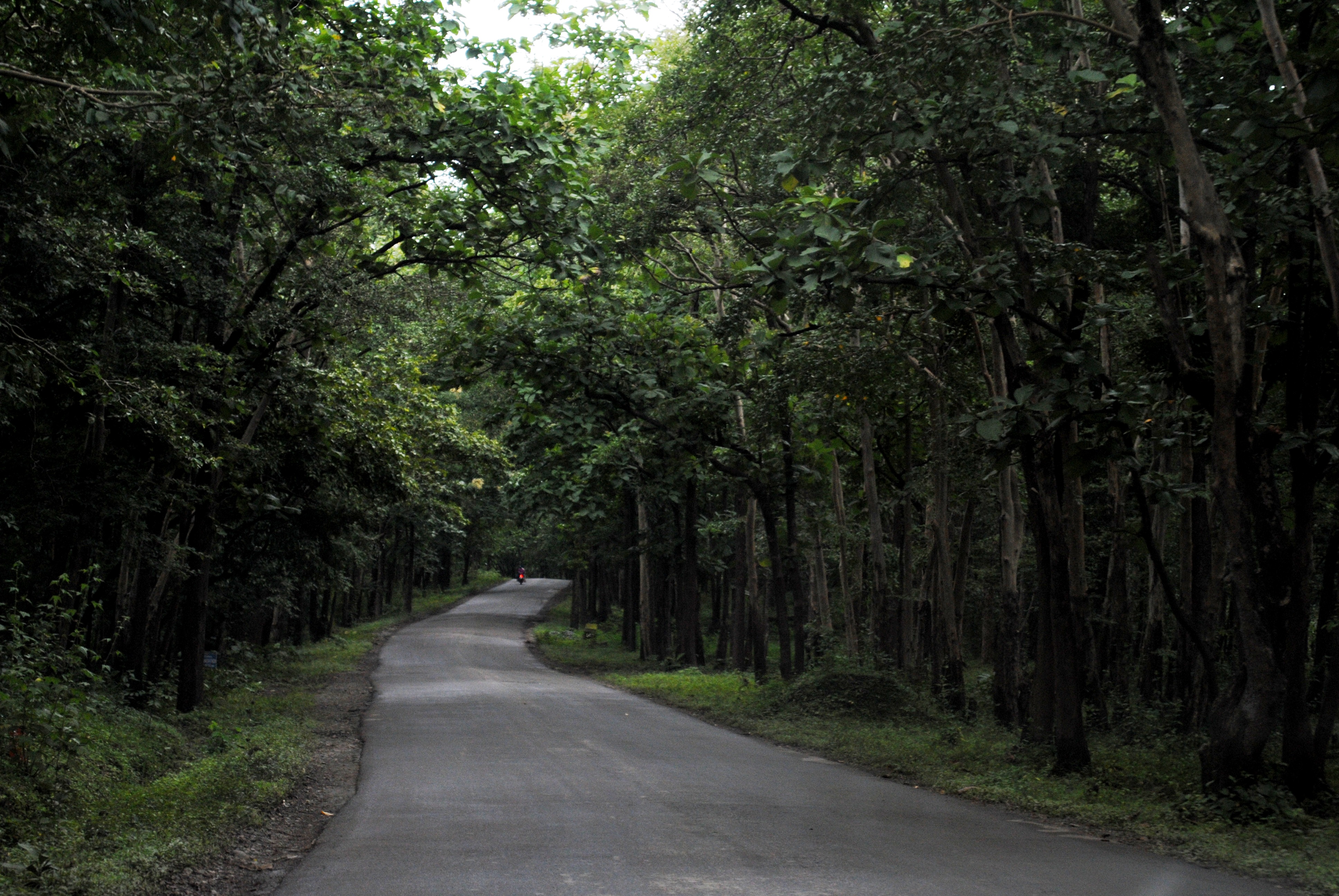 Parc National D'Anshi