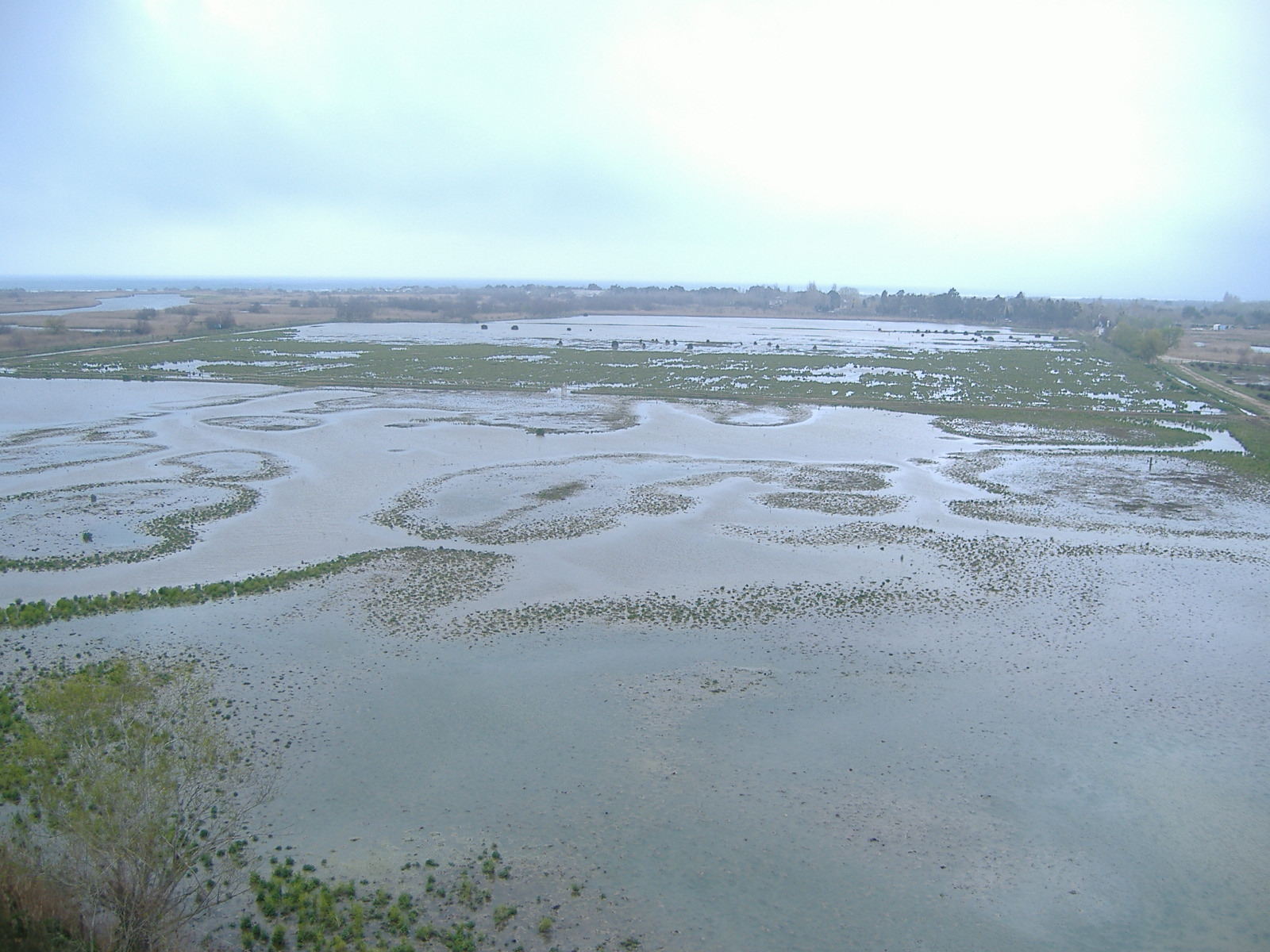 Aiguamolls De L’Empordà