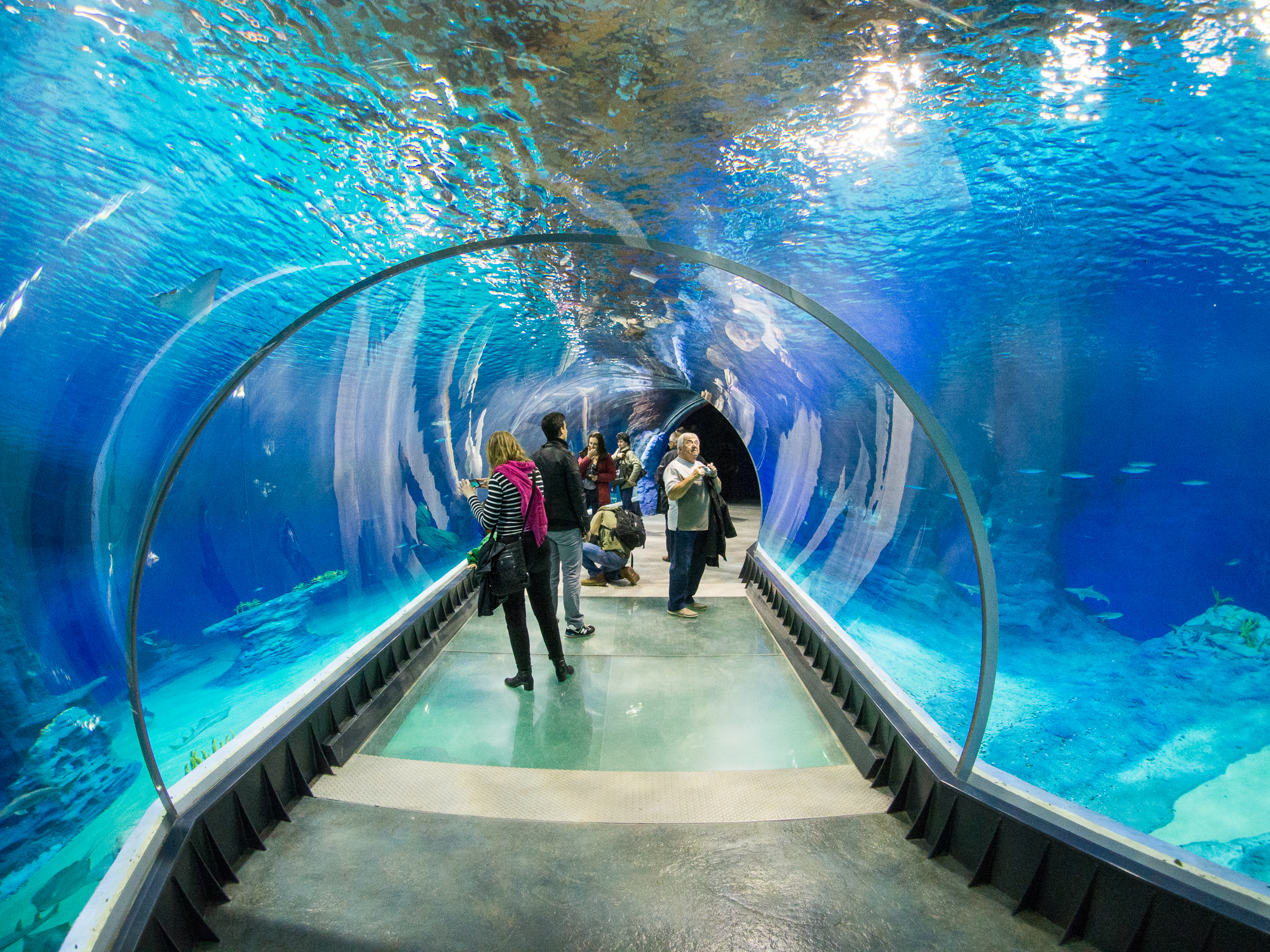 Africarium