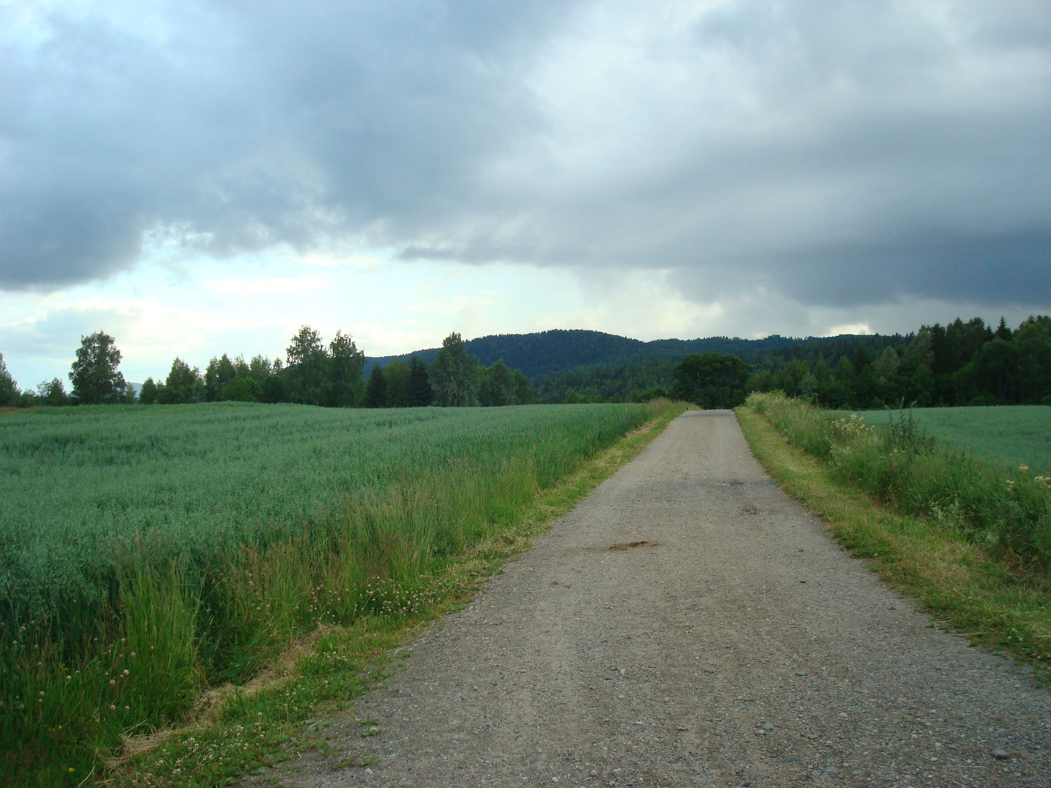 Ankerveien
