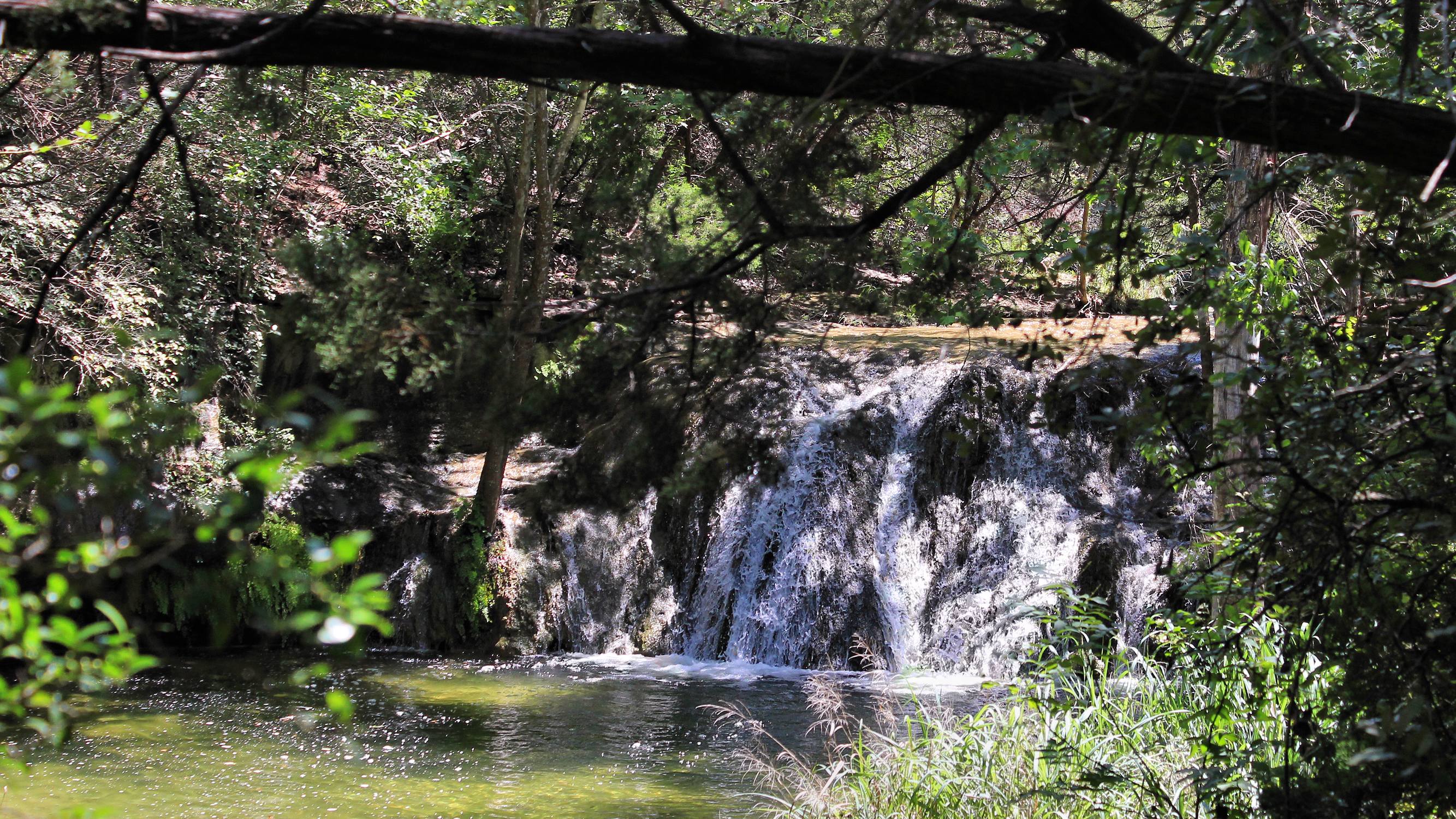 Riserva Naturale Wild Basin