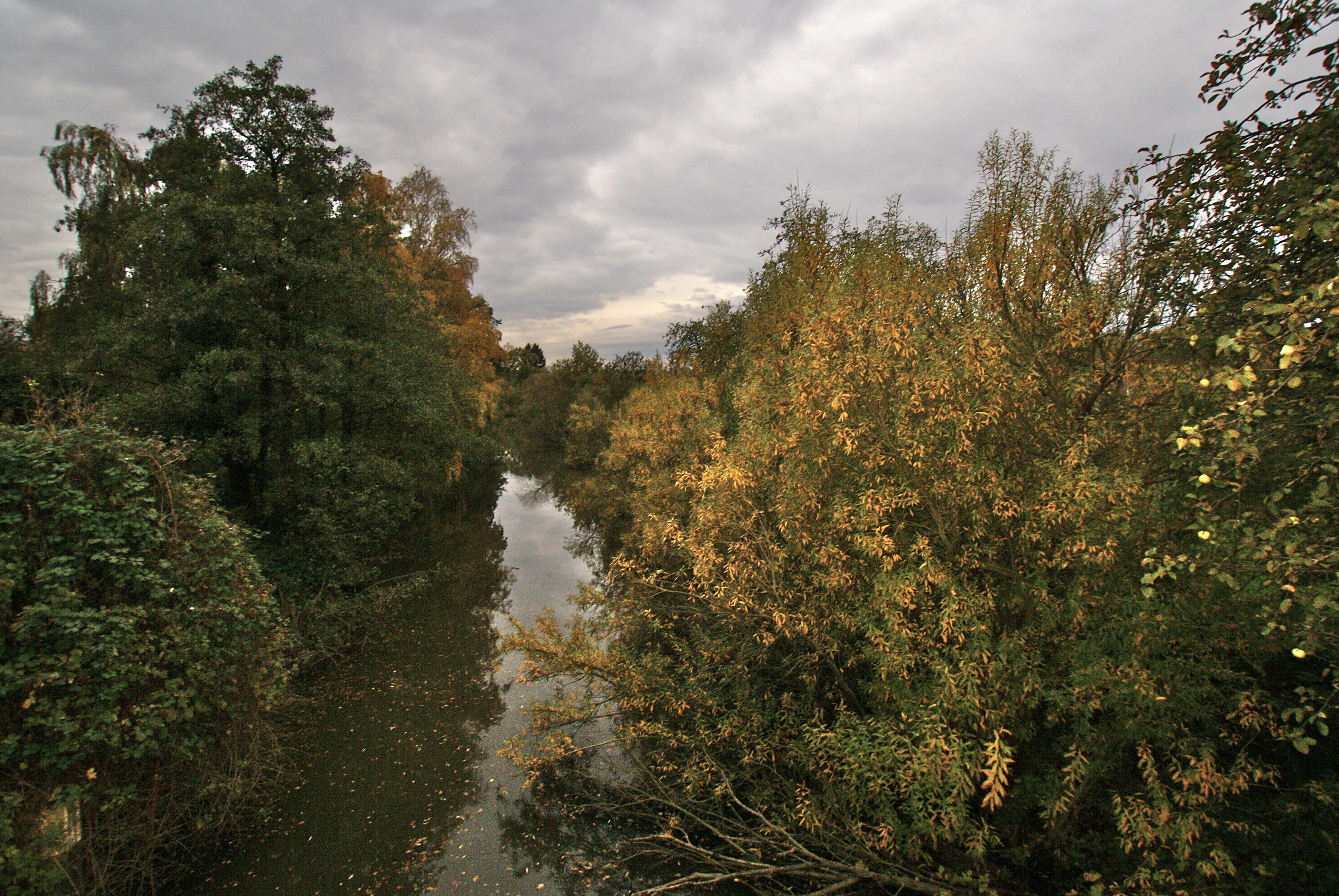 Neuengammer Stichkanal