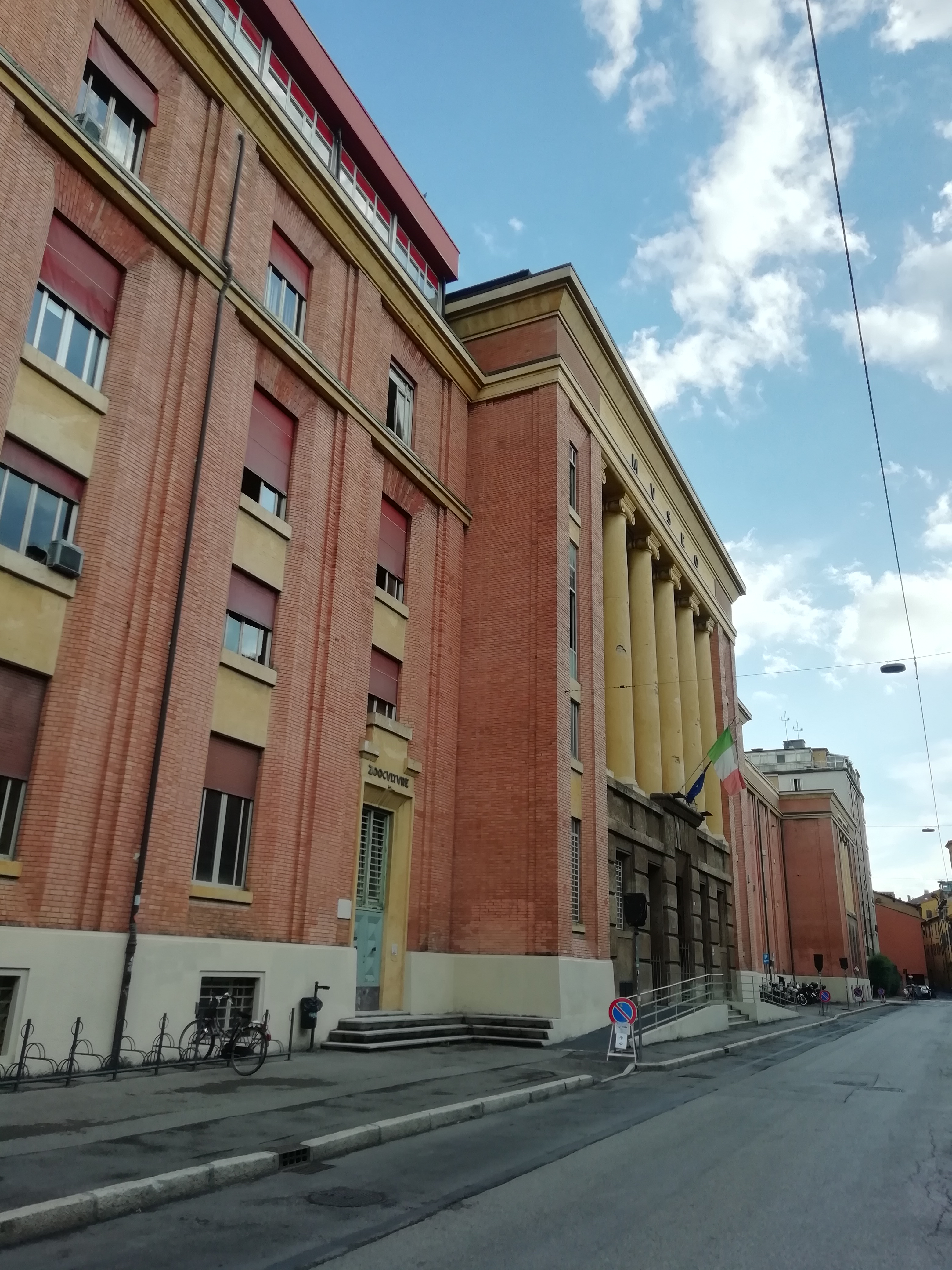 Museo De Anatomía Comparada