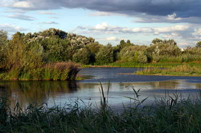 Wwt London Wetland Centre