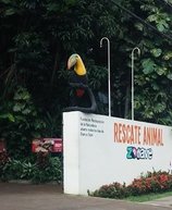 Центр Спасения Дикой Природы Rescate