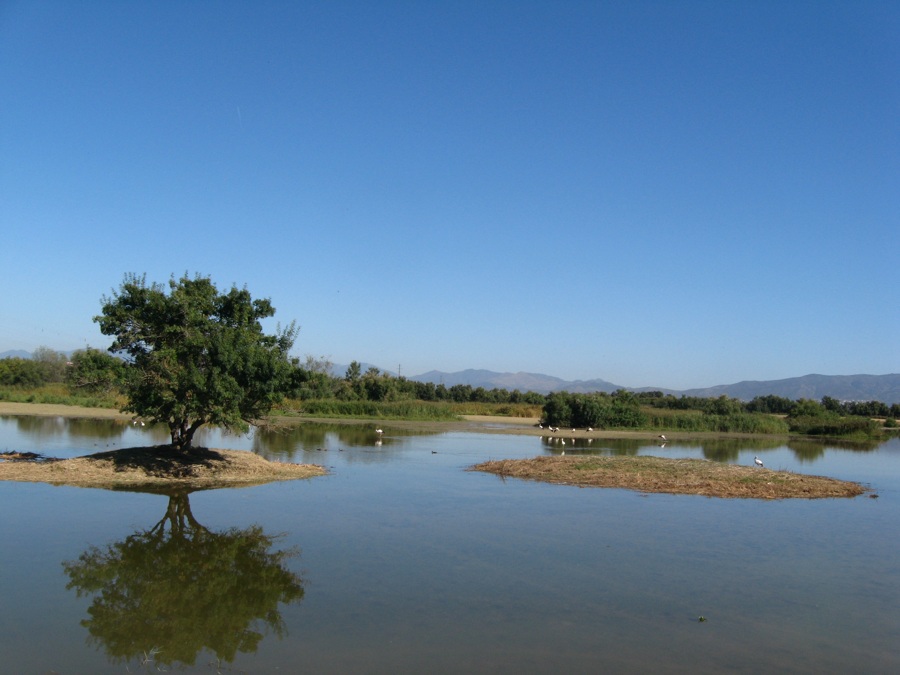 Parque Natural Do Sapal Do Ampurdan