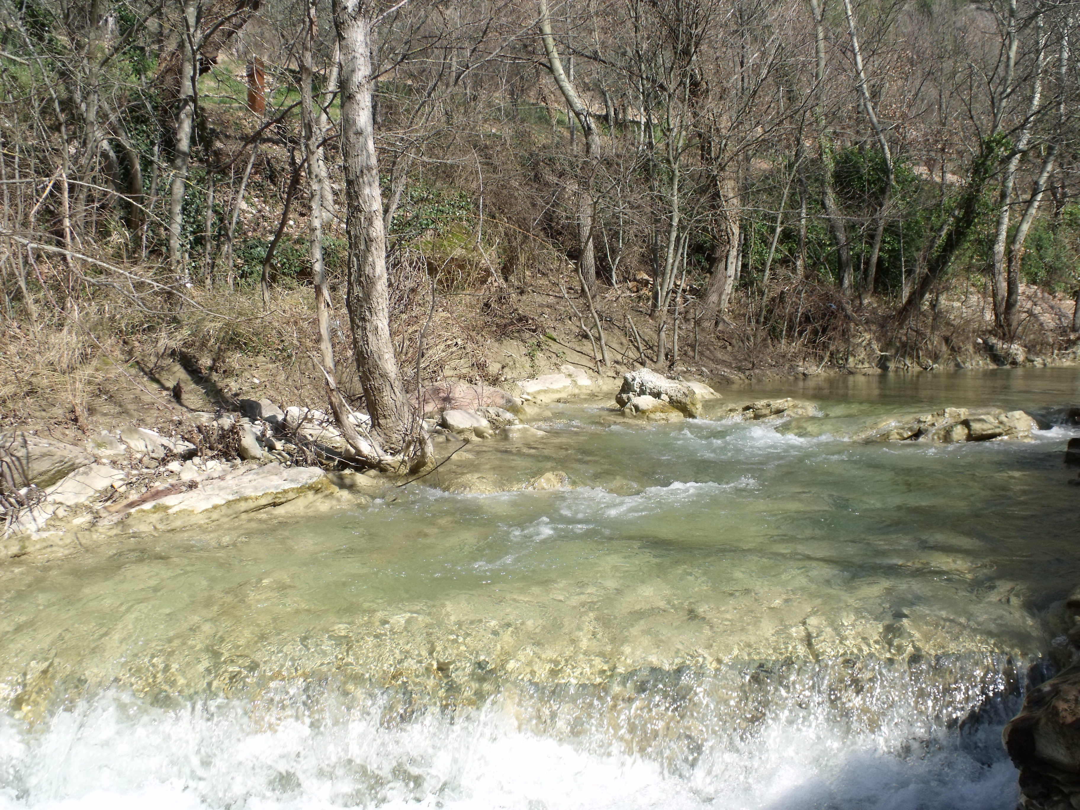 Bosco Di San Francesco
