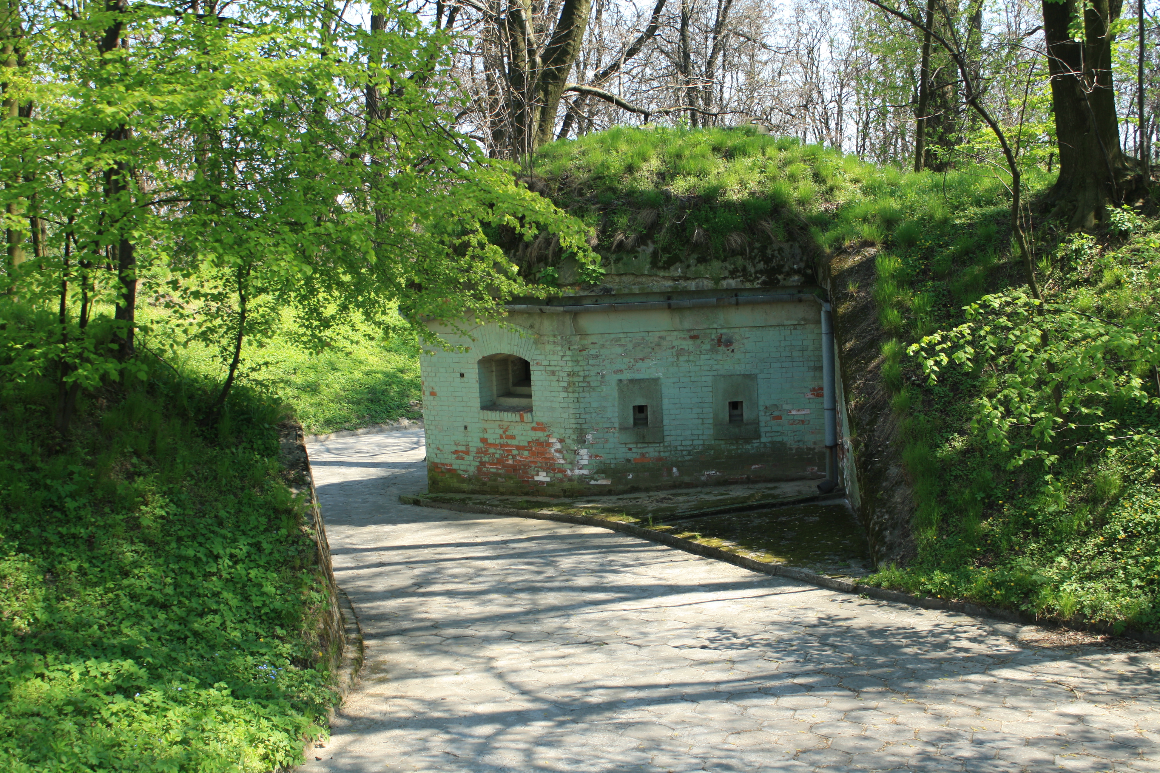 Fort 50 1/2 W "Kosocice"