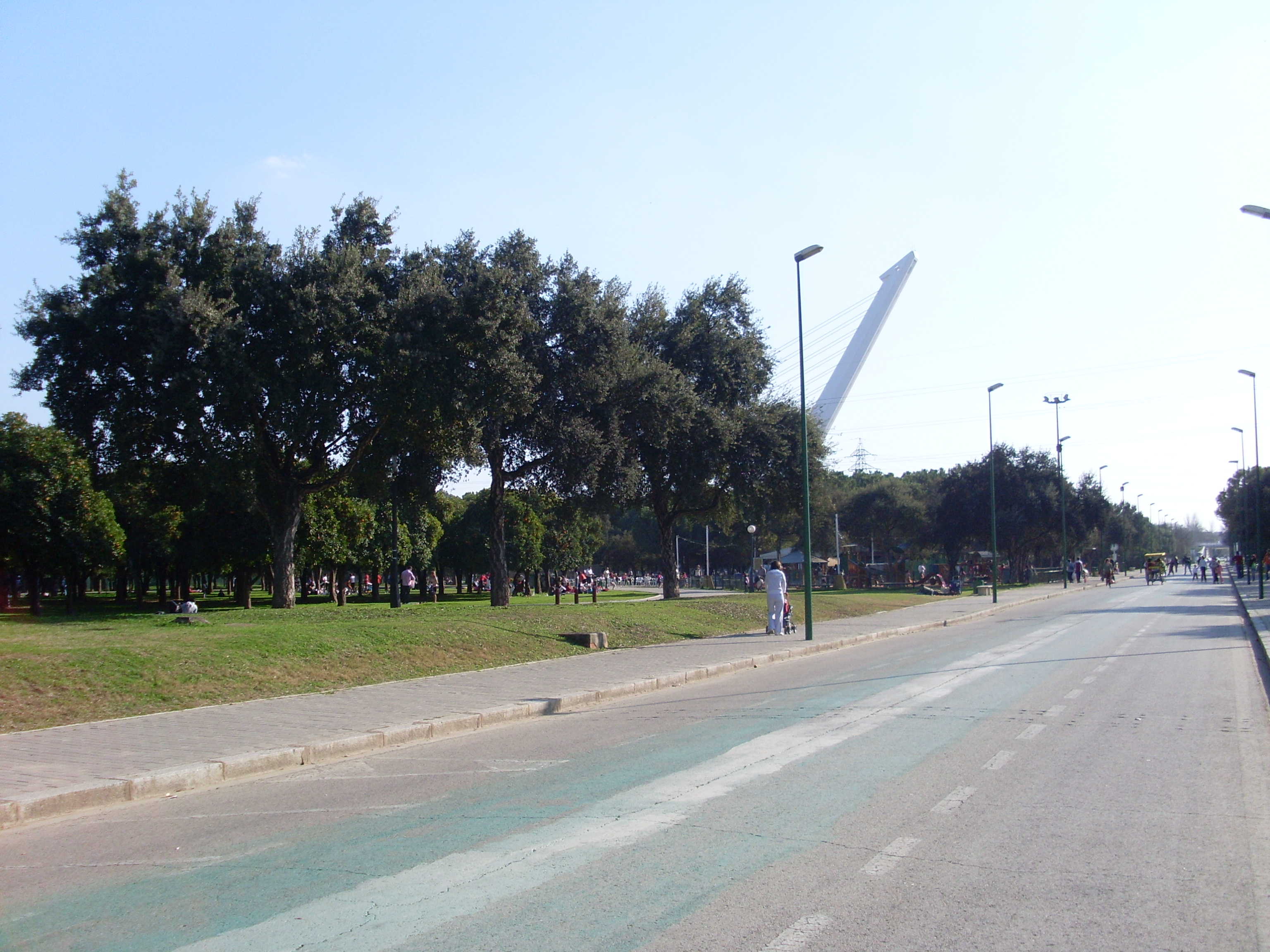Ponte Do Alamillo