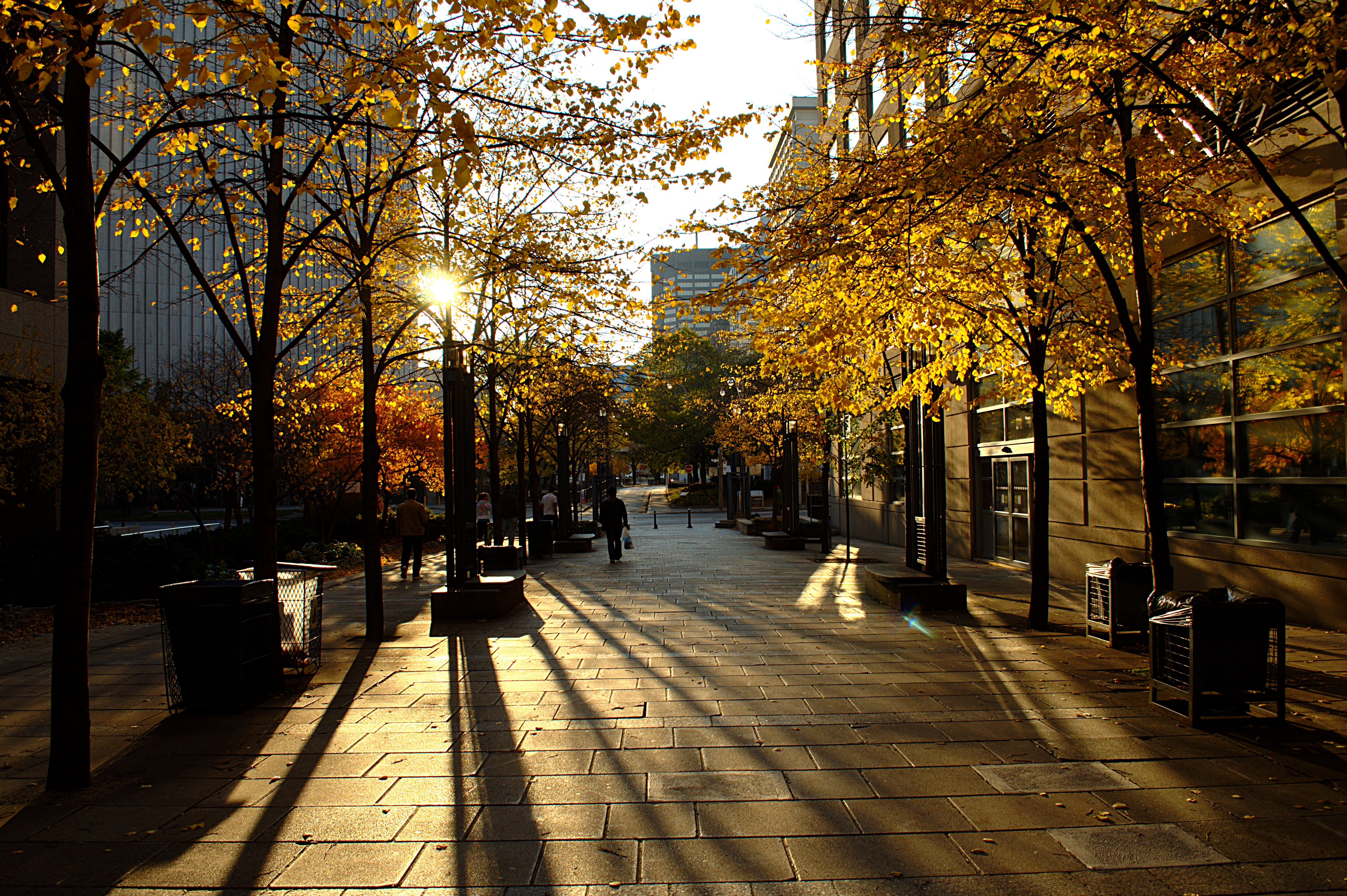 Trinity Square
