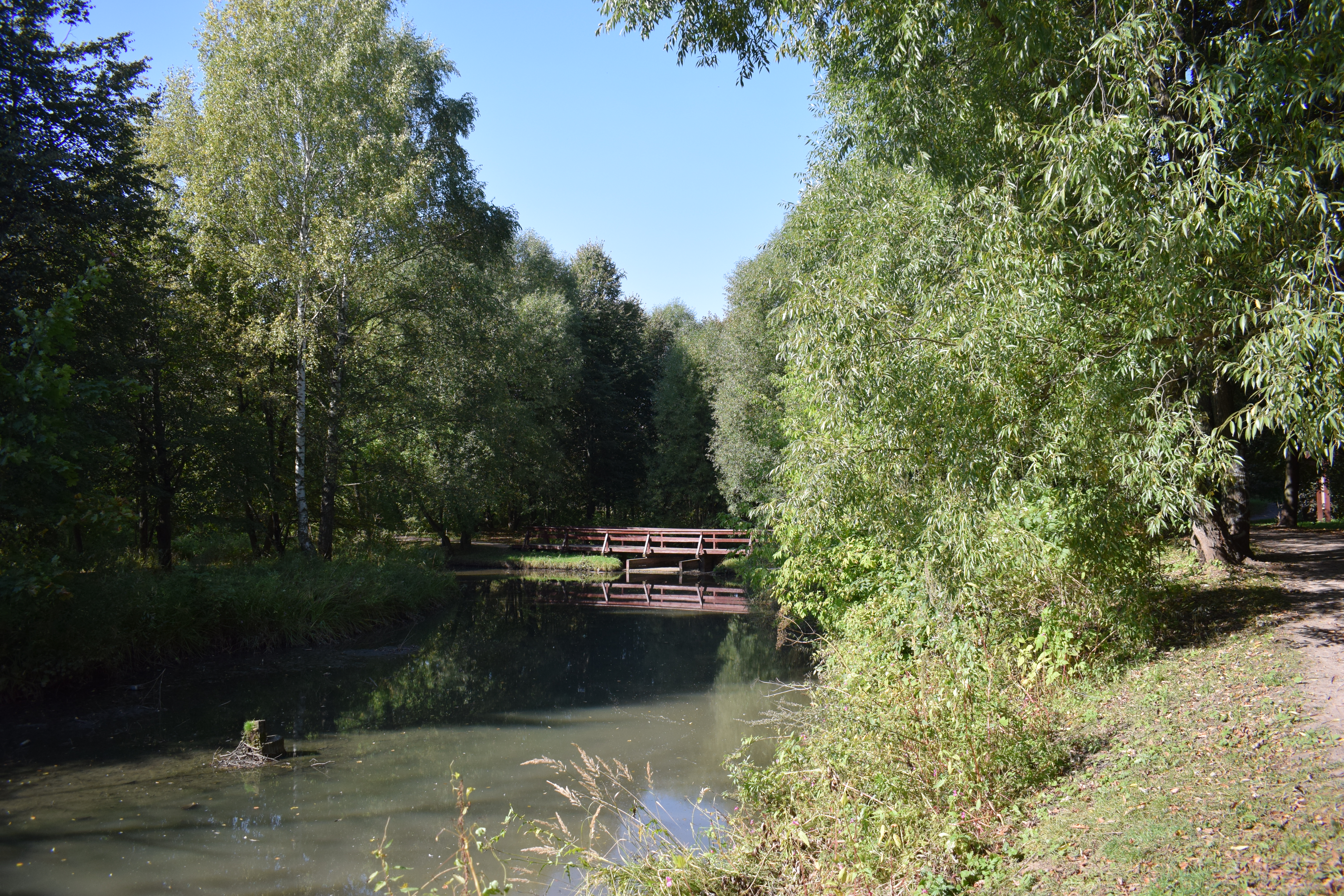 Troparevsky Park