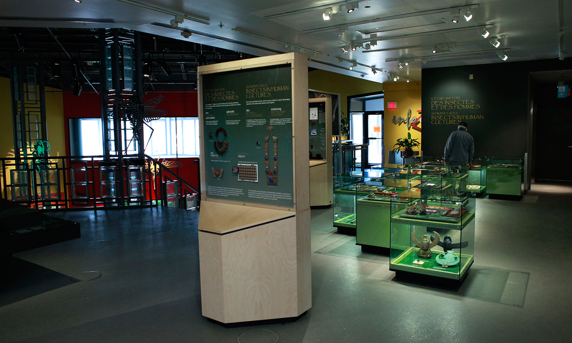 Insectarium De Montreal