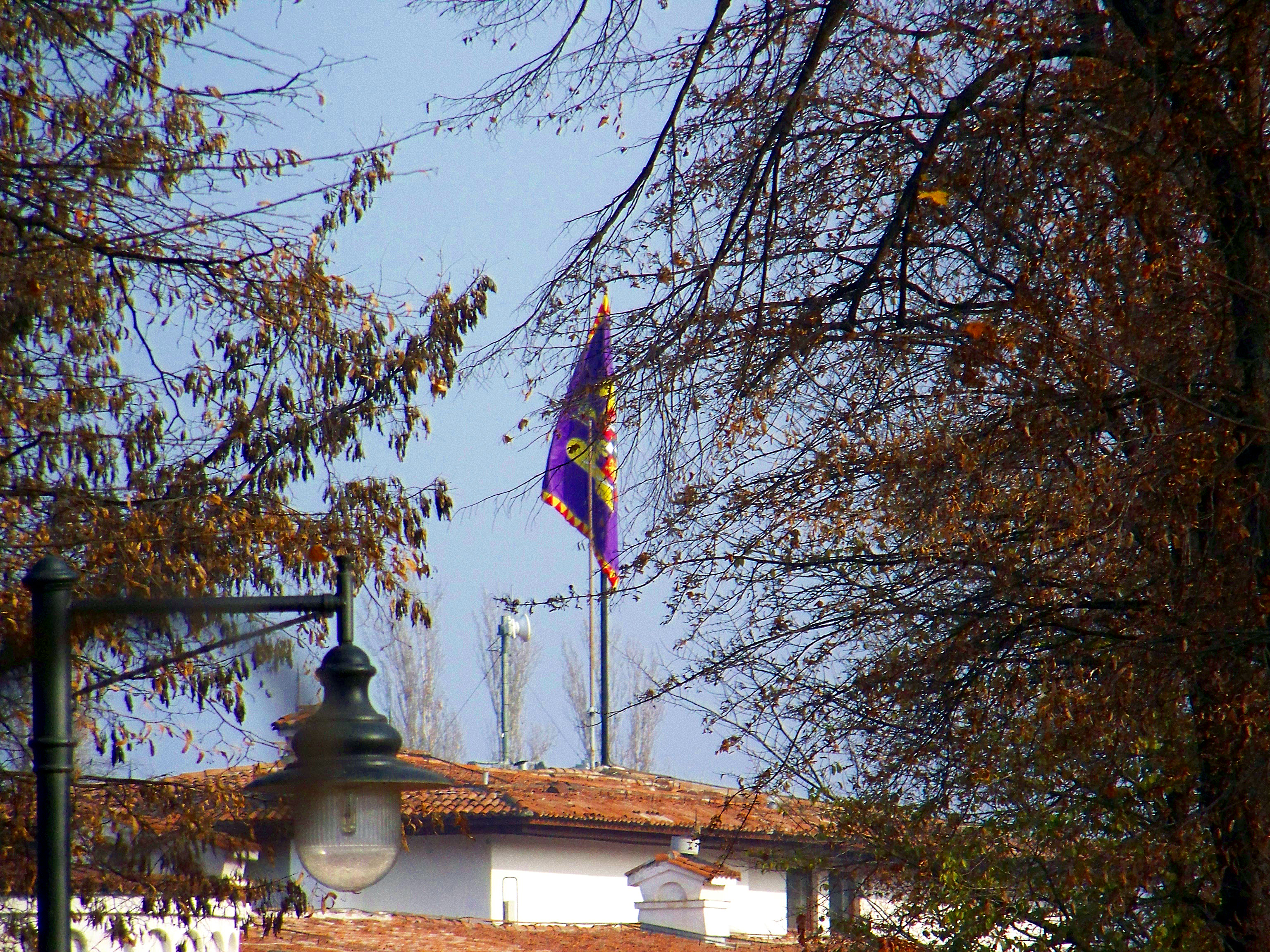 Elisabeta Palace
