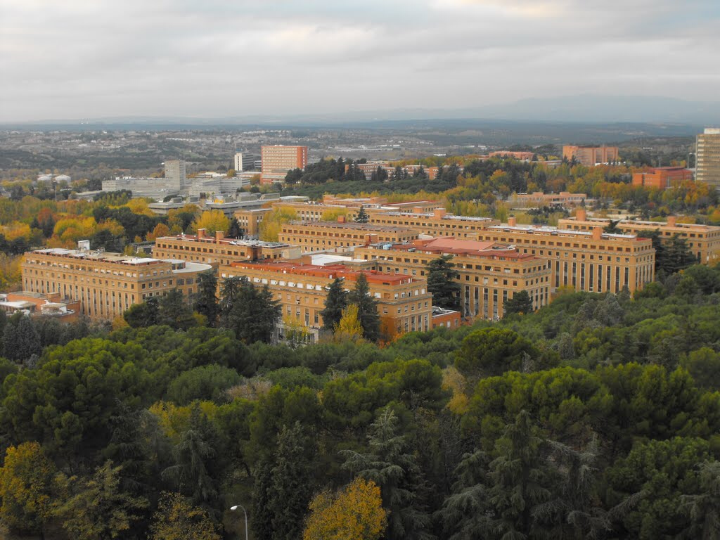 Univerzitní Město Madrid