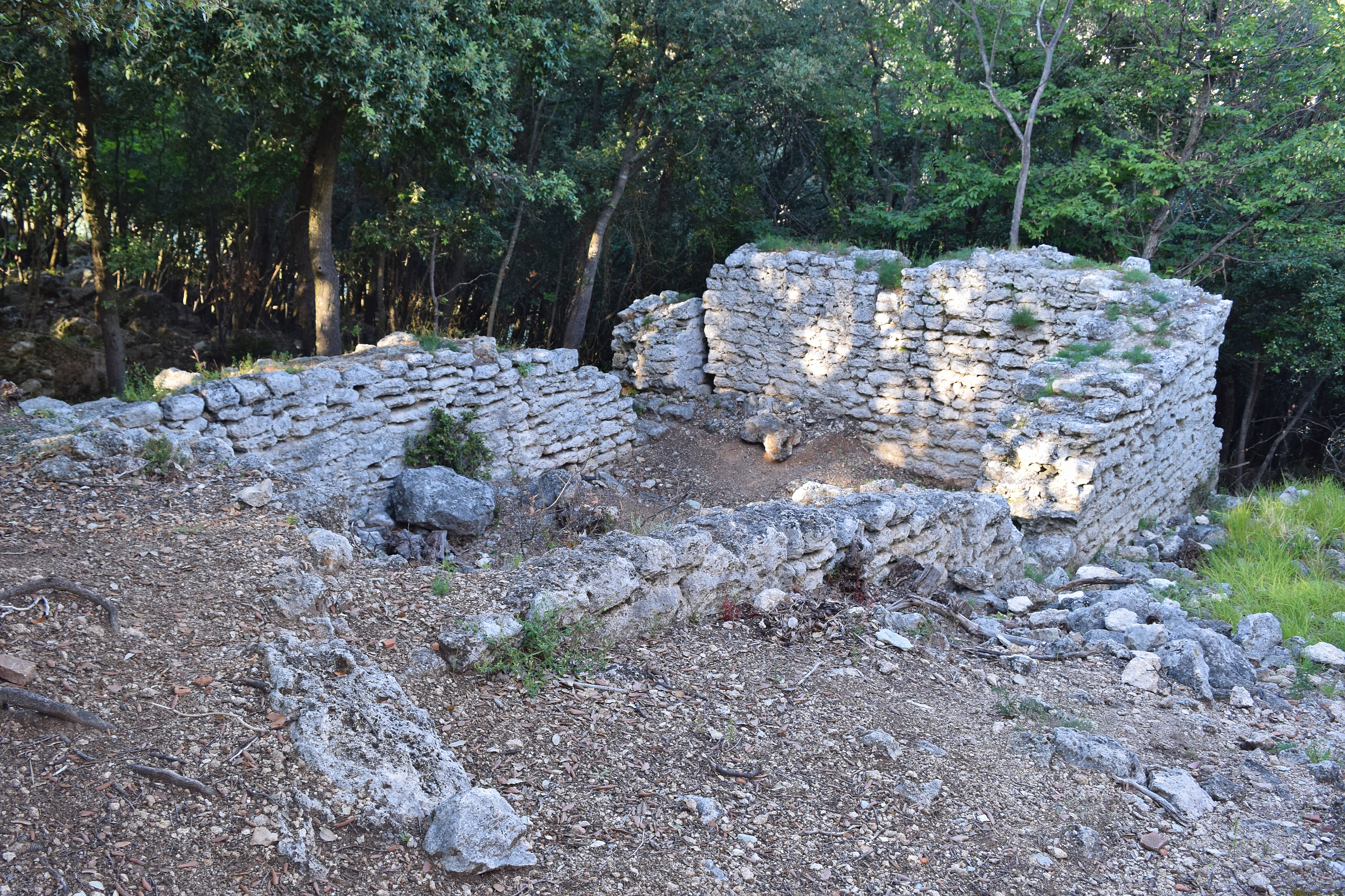 Castrum Perticae