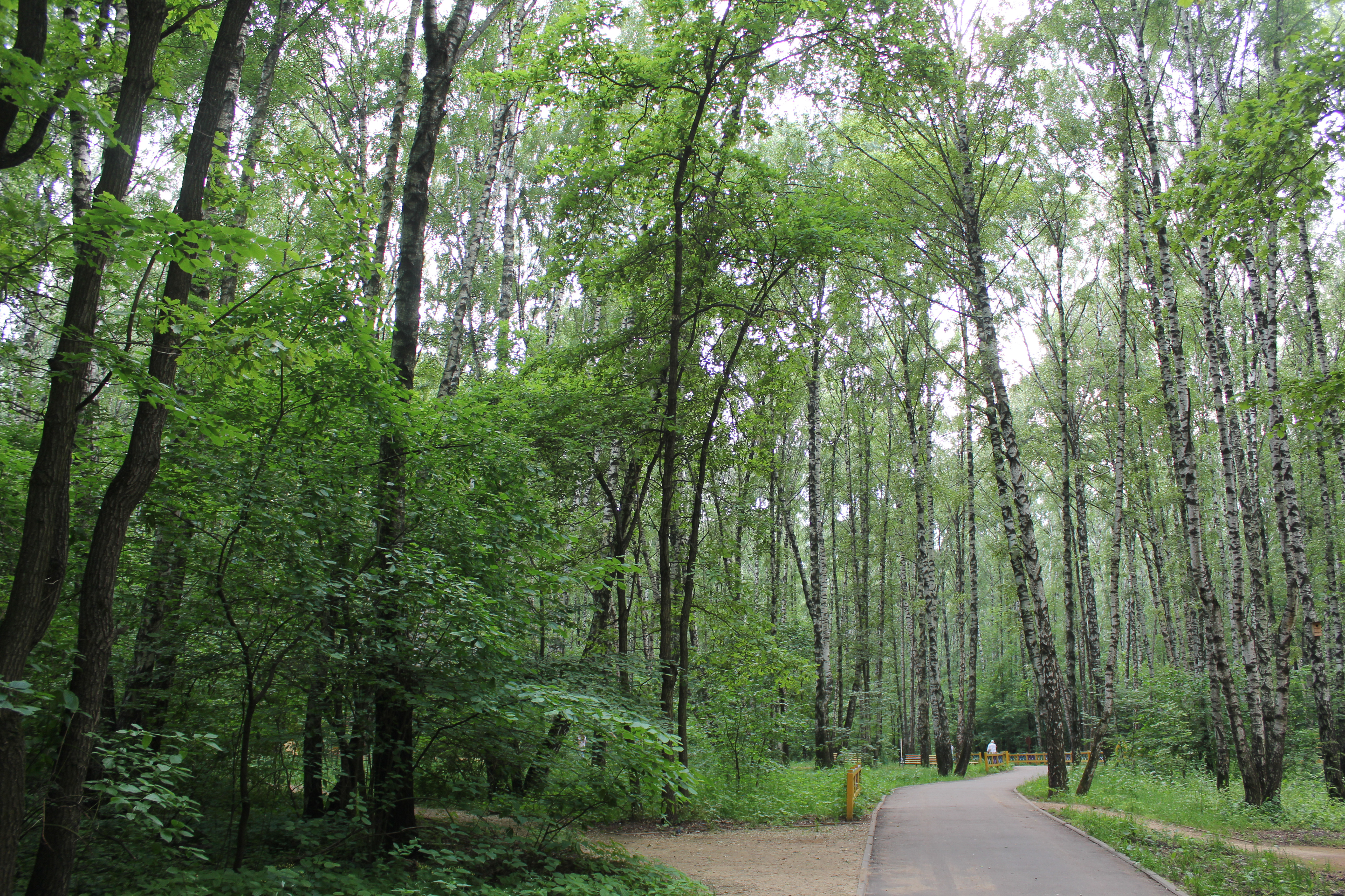 Yugo-Zapadniy Forrest Park