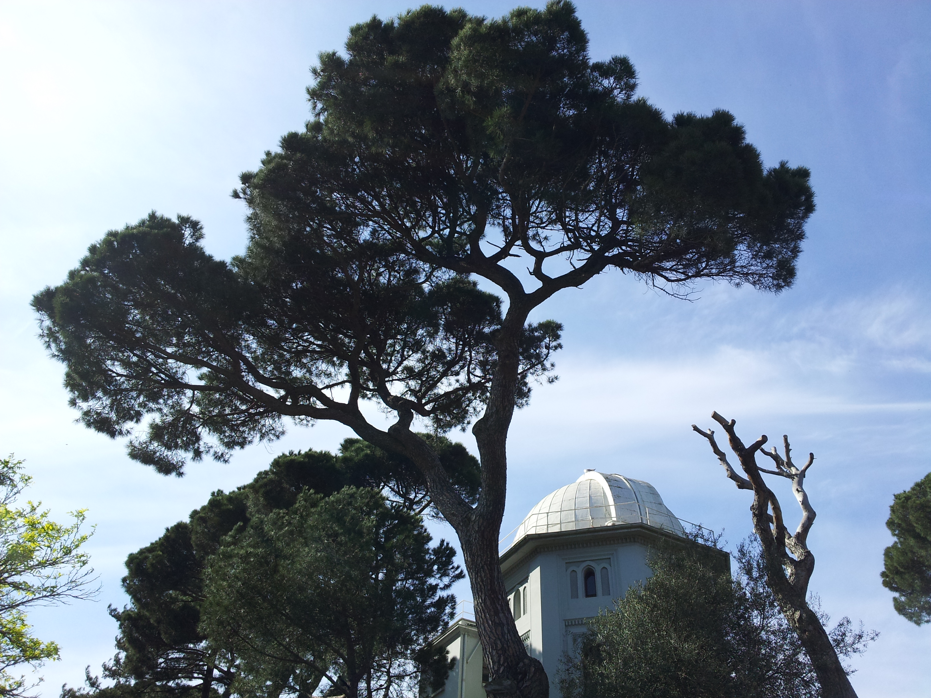 Observatoire De Kandilli