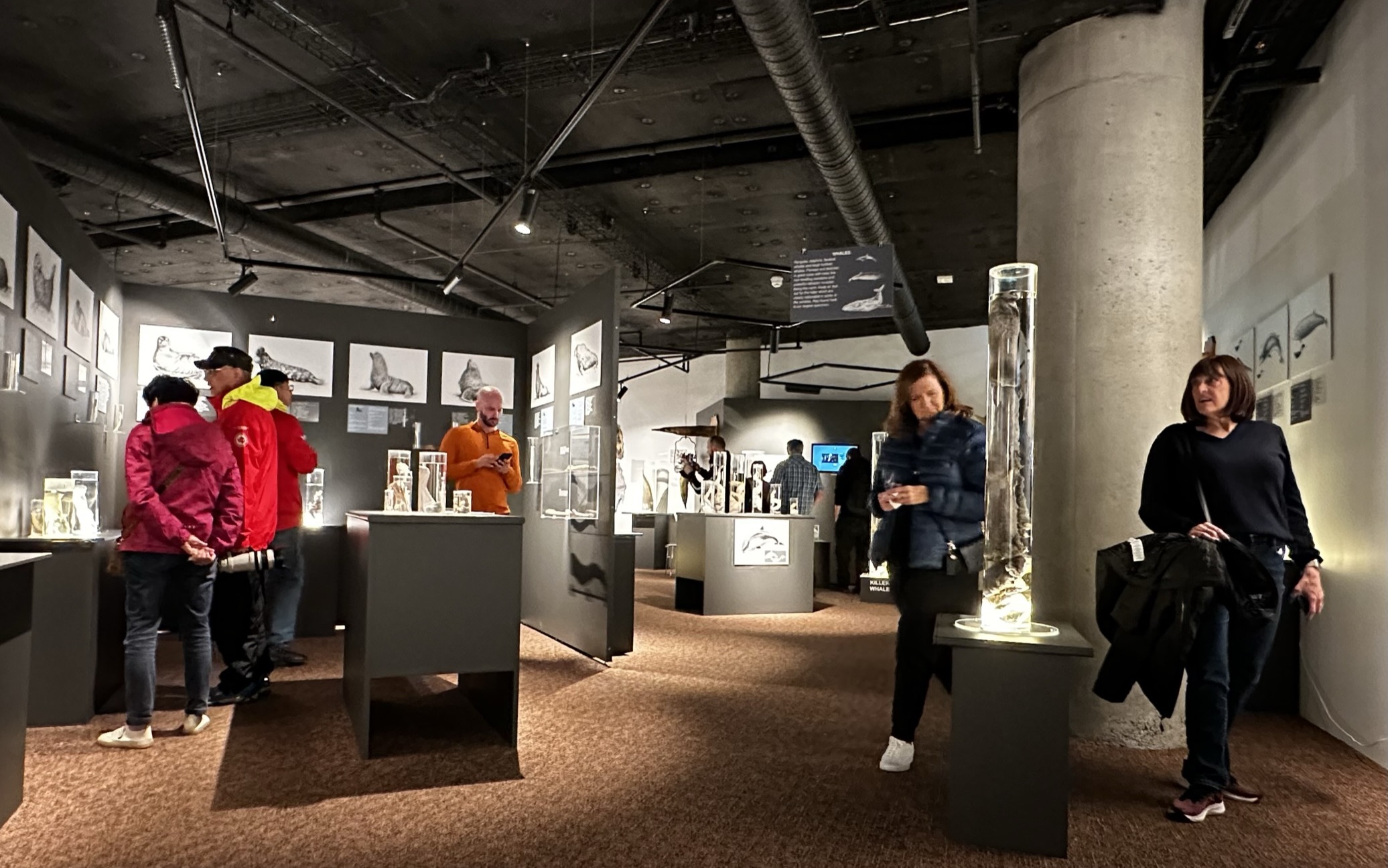 Icelandic Phallological Museum
