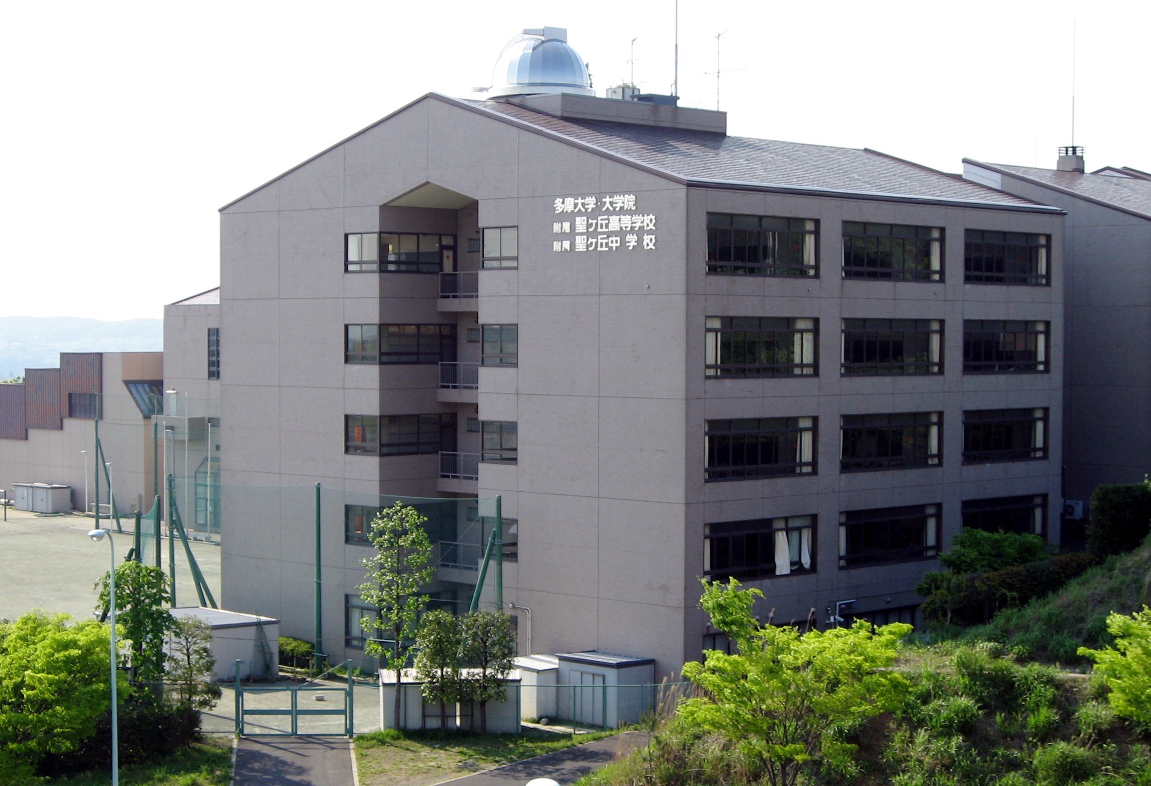 Tamská Univerzita