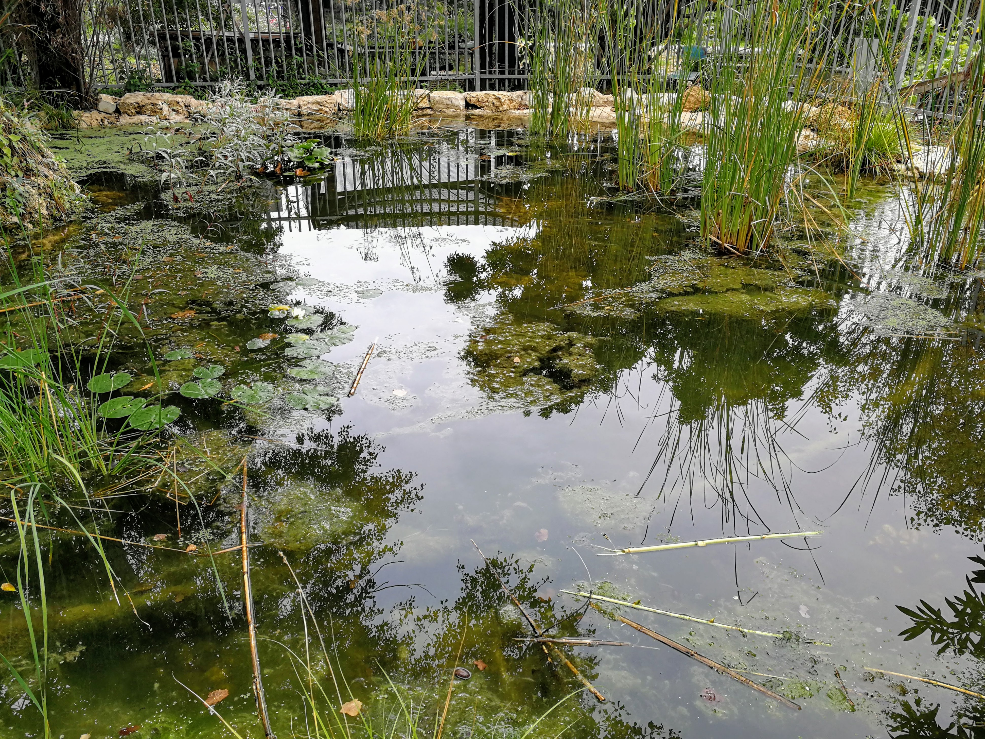Nature Gardens