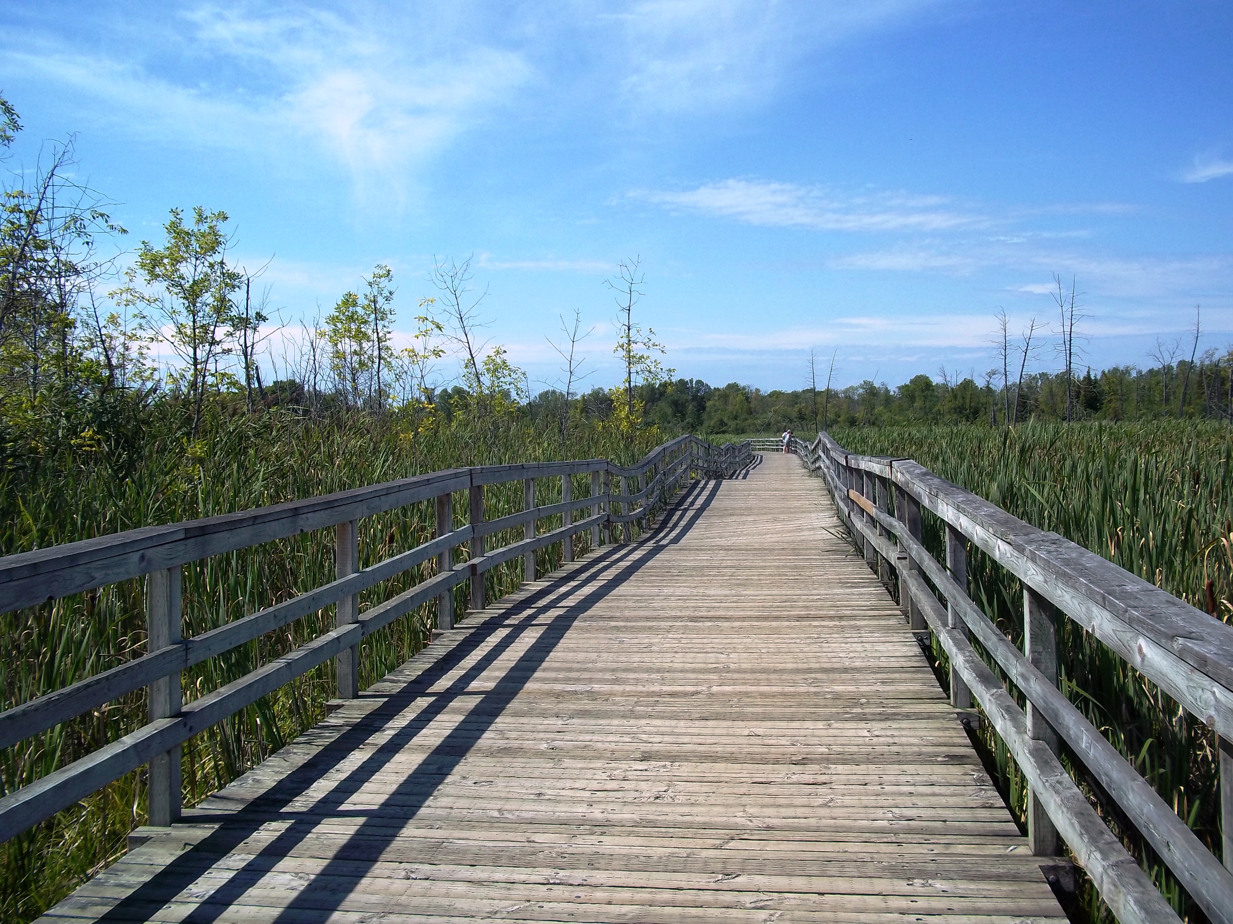 Parque Natural De Bois-De-L'Île-Bizard
