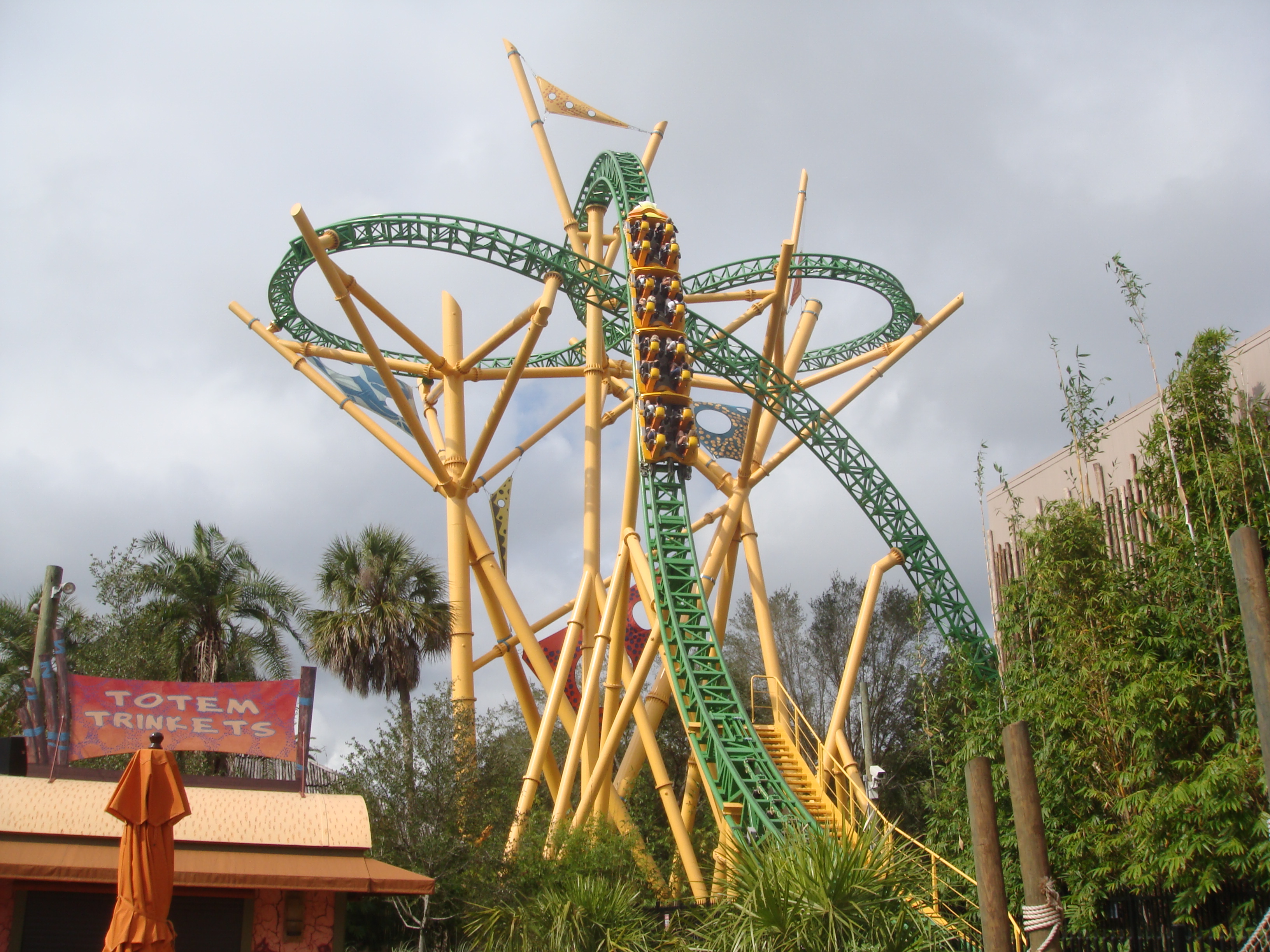 Cheetah Hunt