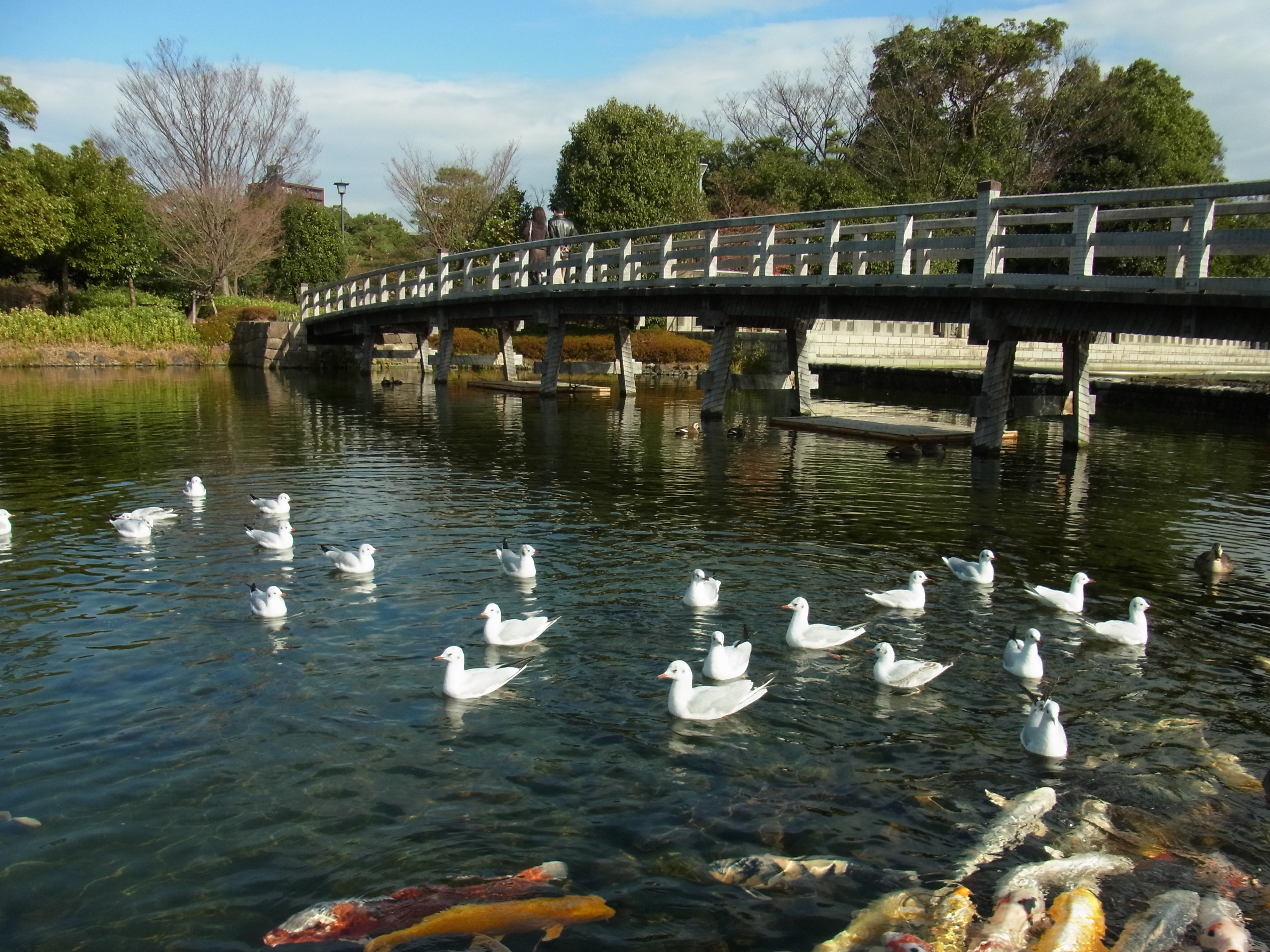 Jardín Shirotori