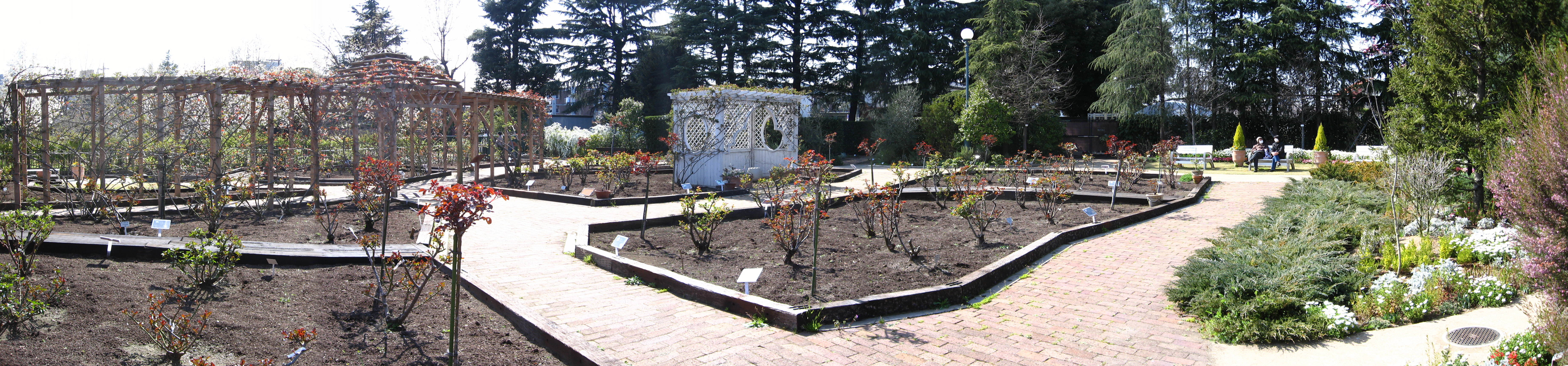 Keio Floral Garden Ange