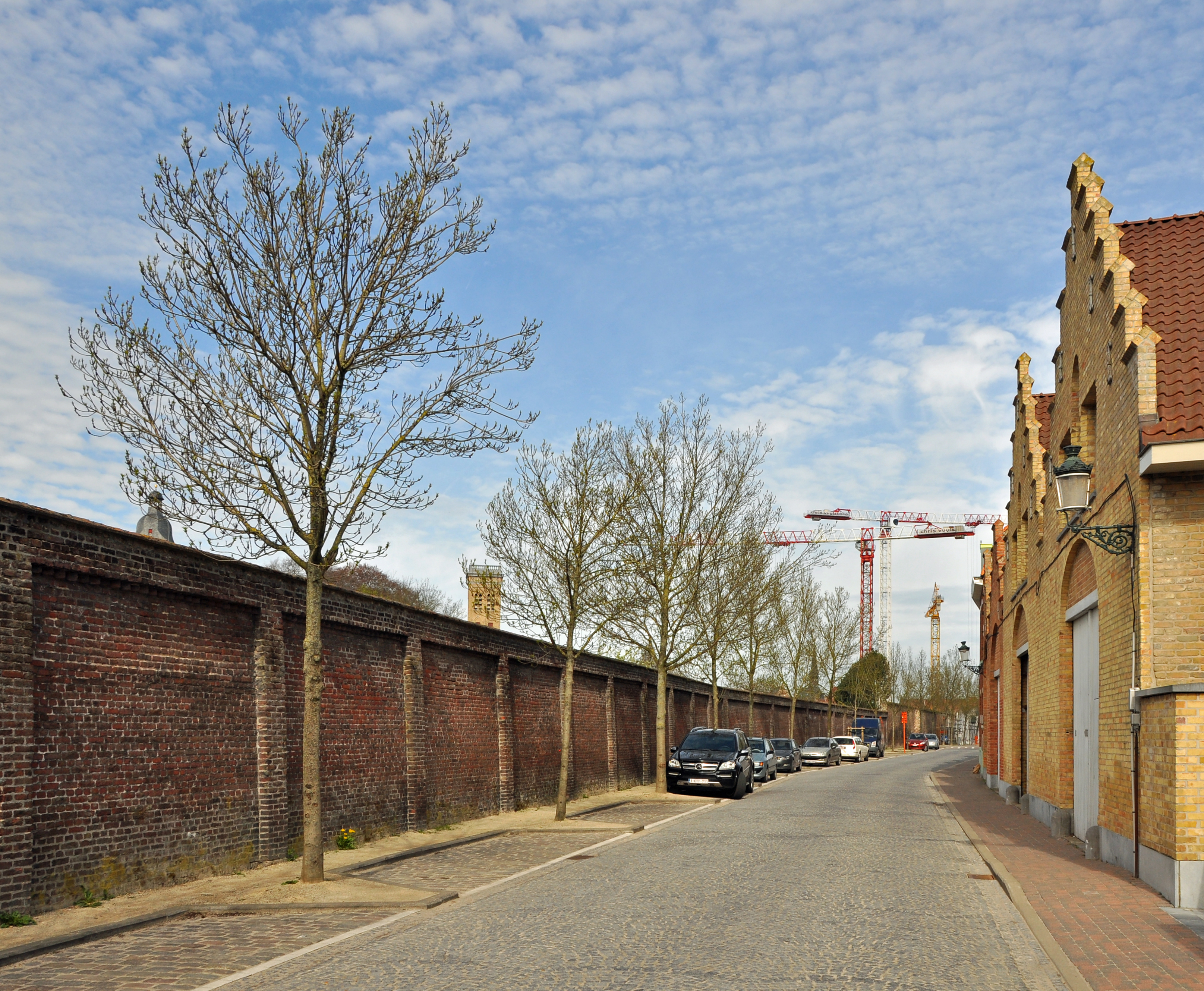 Peterseliestraat