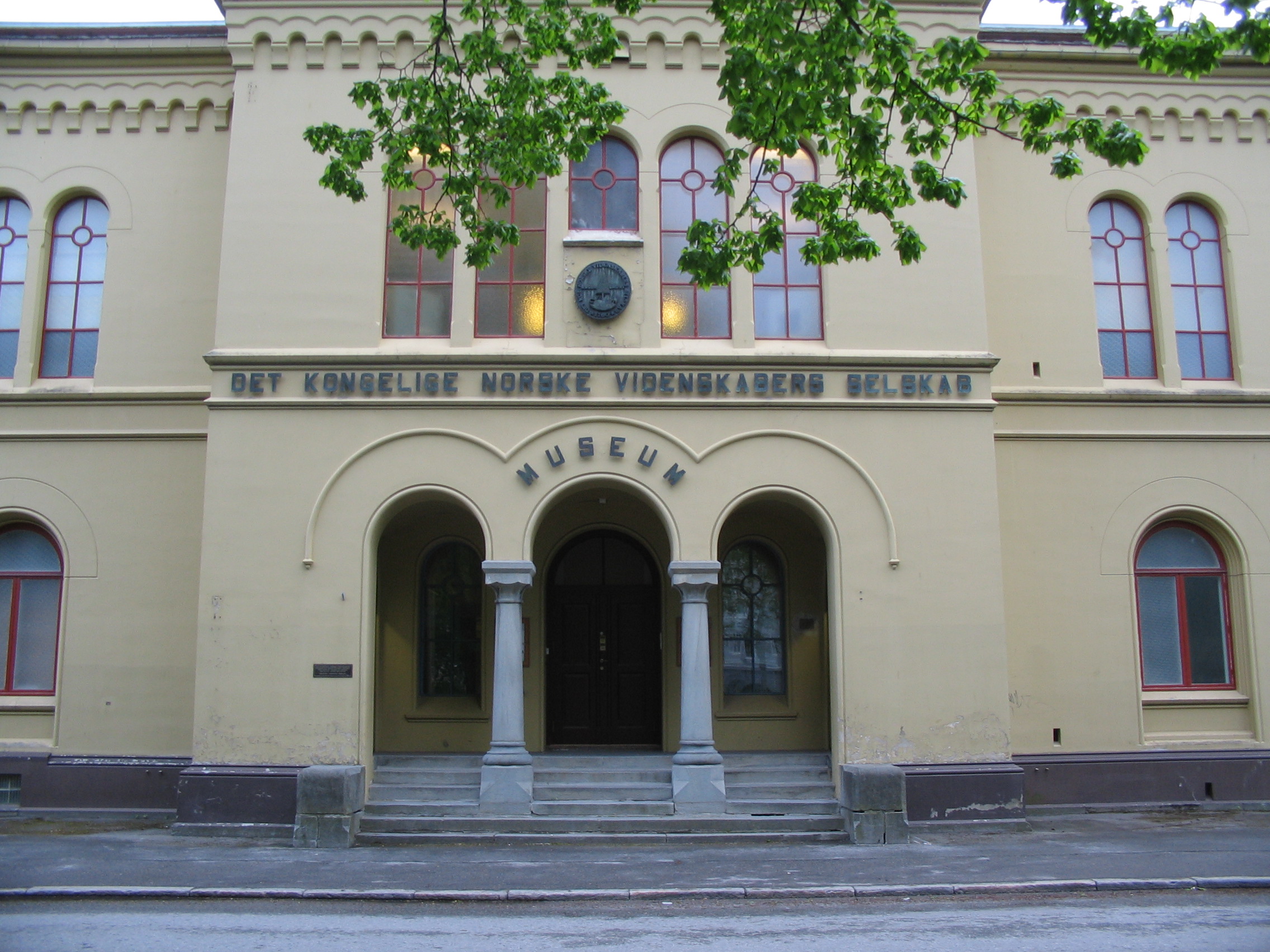 Ntnu University Museum
