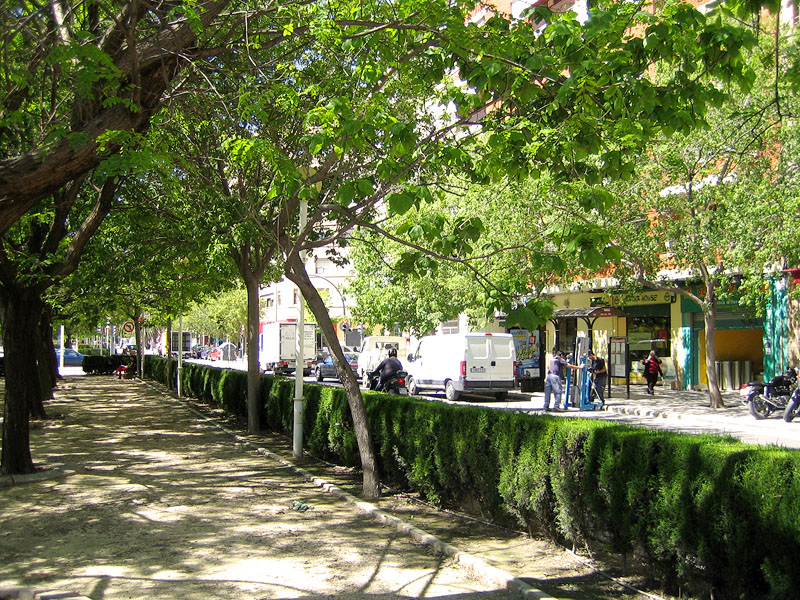 Carrer De Ramon Llull