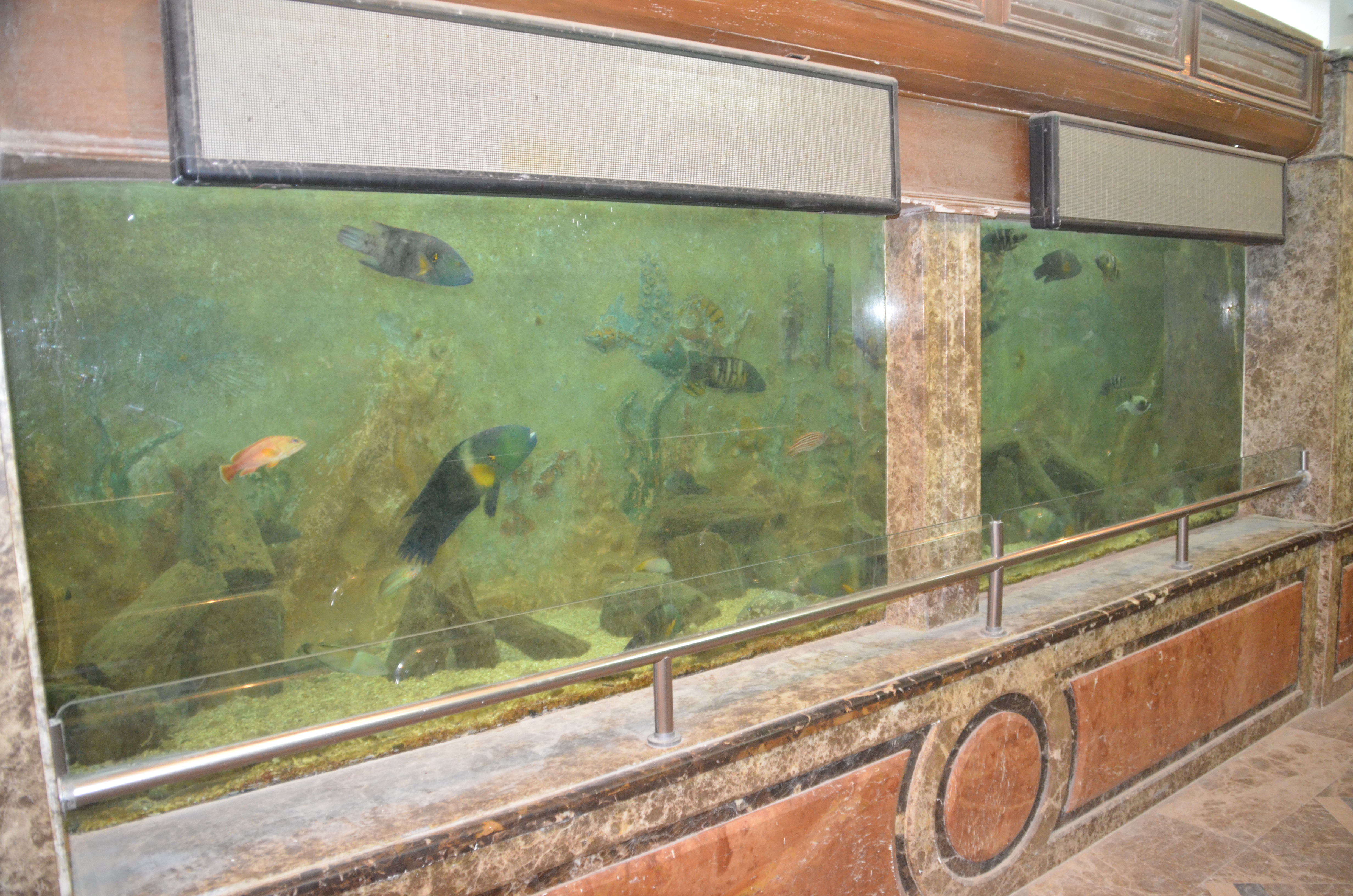 Acuario De Alejandría